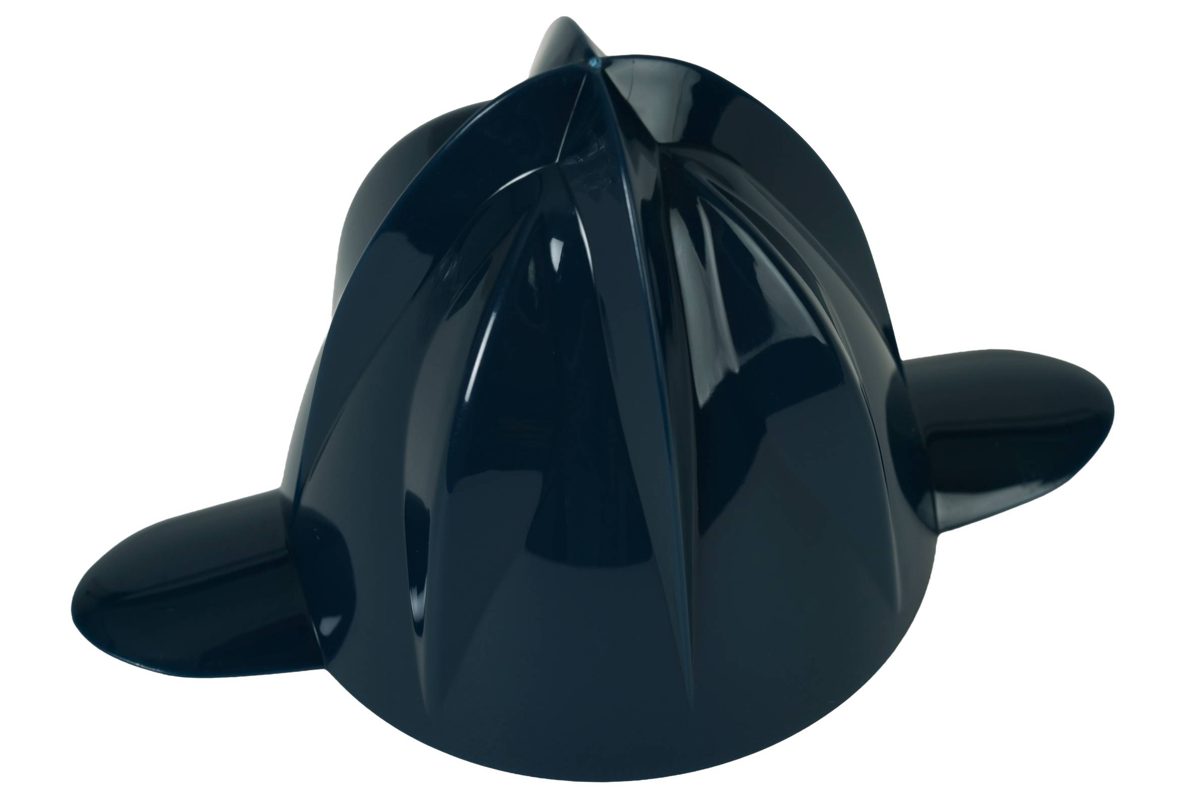 Cône SS-9100062406 pour presse-agrumes