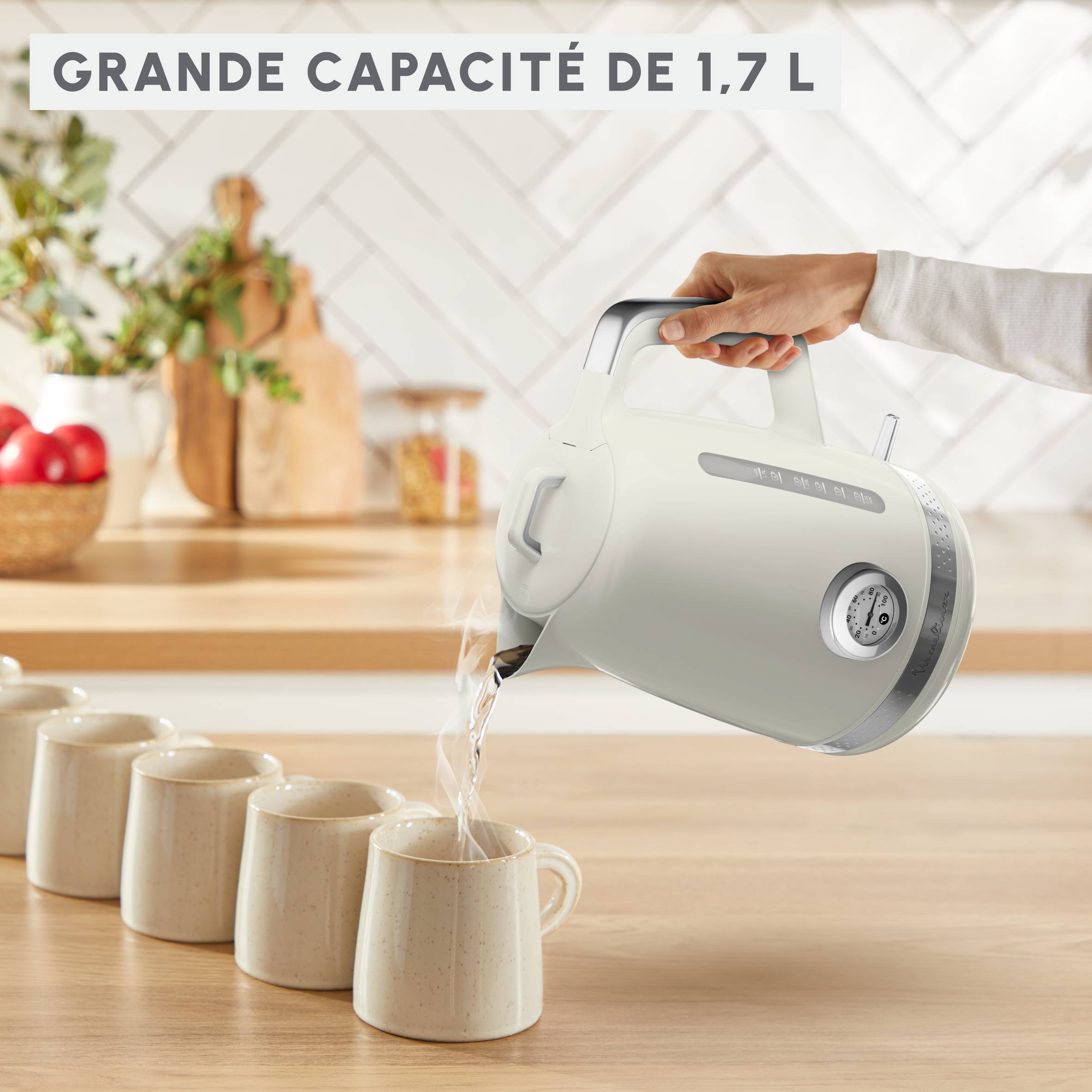 Soleil, Bouilloire électrique 1,7 L, Contrôle de la température, 2 400 W