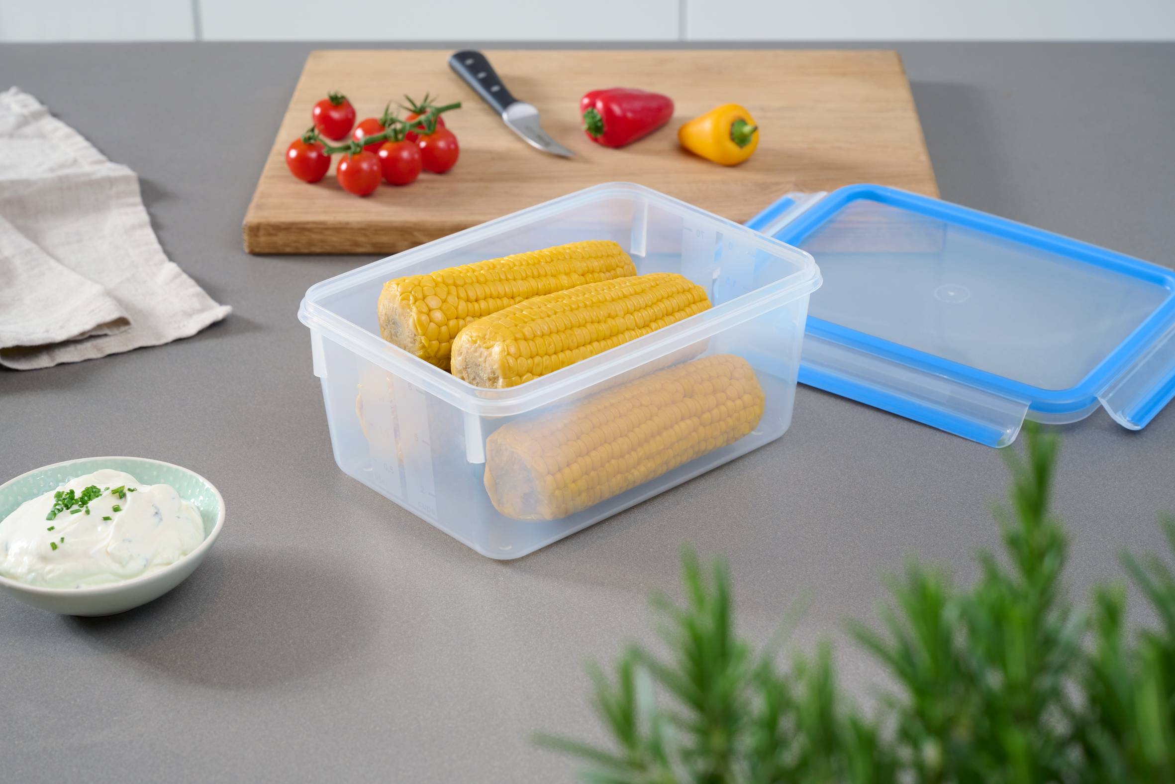 MasterSeal Fresh N1031451 Set de 9 boîtes de conservation de 0,15L à 2,2L