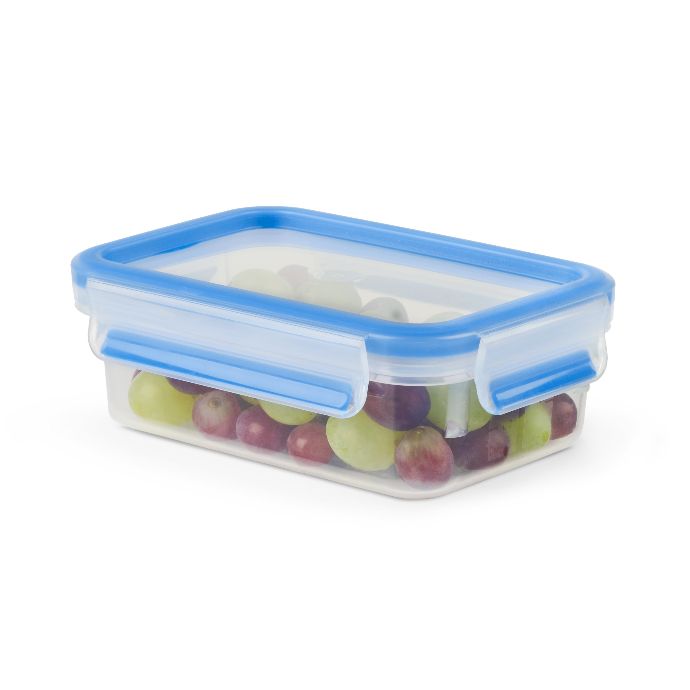 MasterSeal Fresh N1031251 Set de 3 Boîtes de conservation - 0,55L