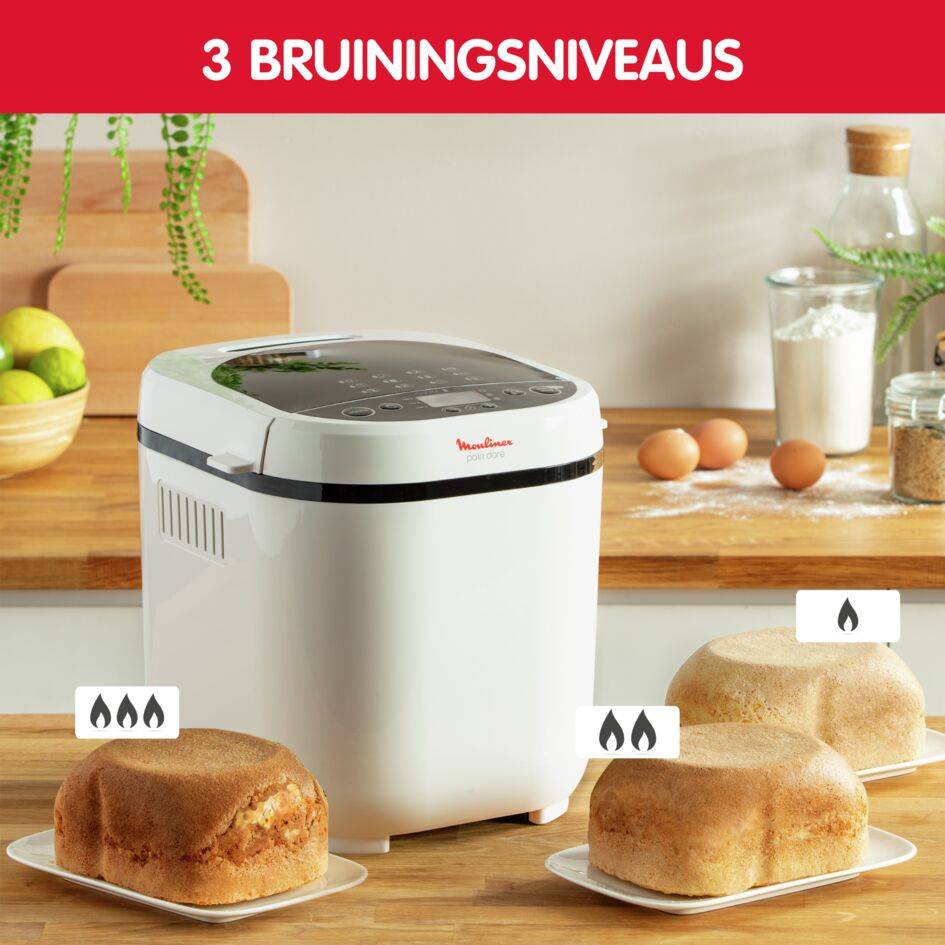 Pain Doré OW210130 Broodbakmachine - 12 automatische programma's