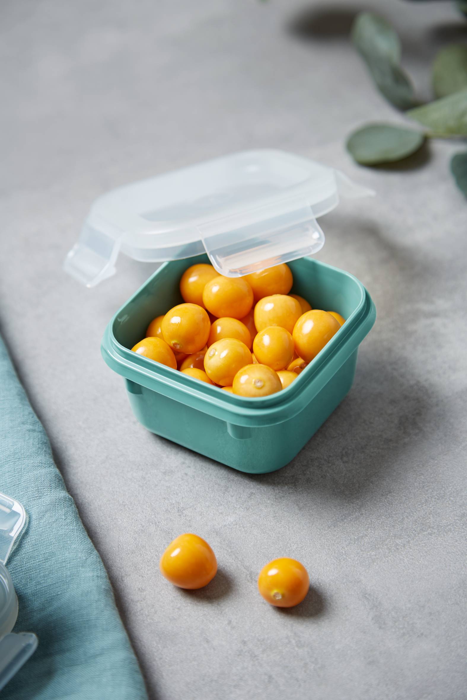 MasterSeal Color N1031010 Set van 4 bewaardozen - 0,20L / 0,55L / 0,80L / 2,2L