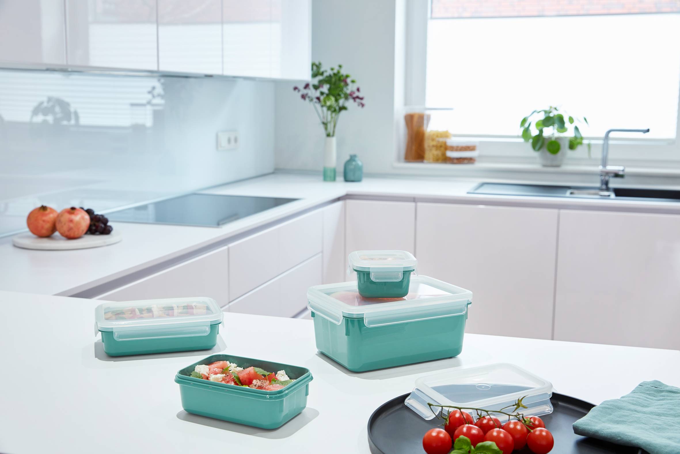 MasterSeal Color N1031010 Set van 4 bewaardozen - 0,20L / 0,55L / 0,80L / 2,2L