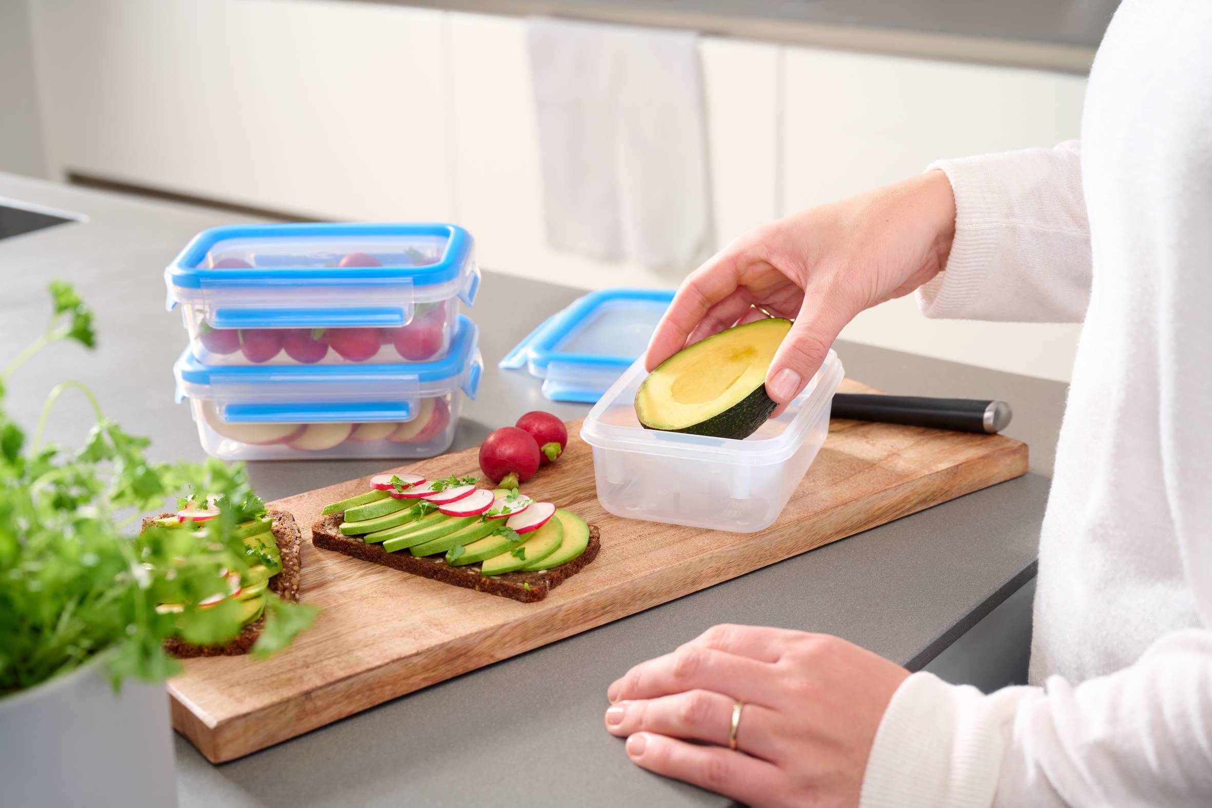 MasterSeal Fresh N1031251 Set de 3 Boîtes de conservation - 0,55L