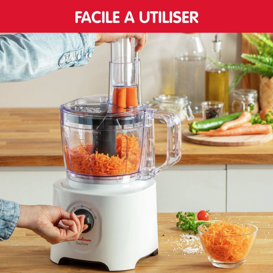 EasyForce FP244110 Robot multifonction - 700W - 5 accessoires - 3 vitesses