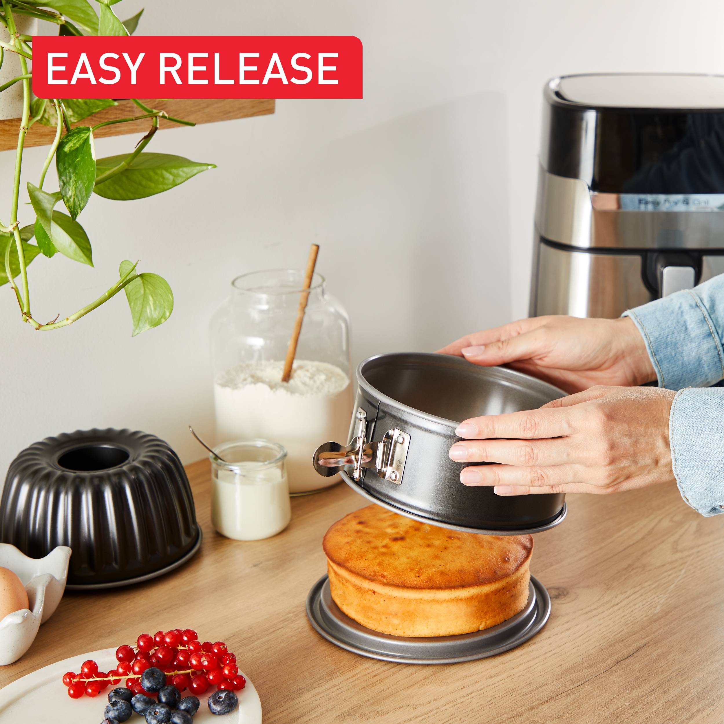 Easy Release J176S204 Set de 2 moules à gâteaux pour air fryer