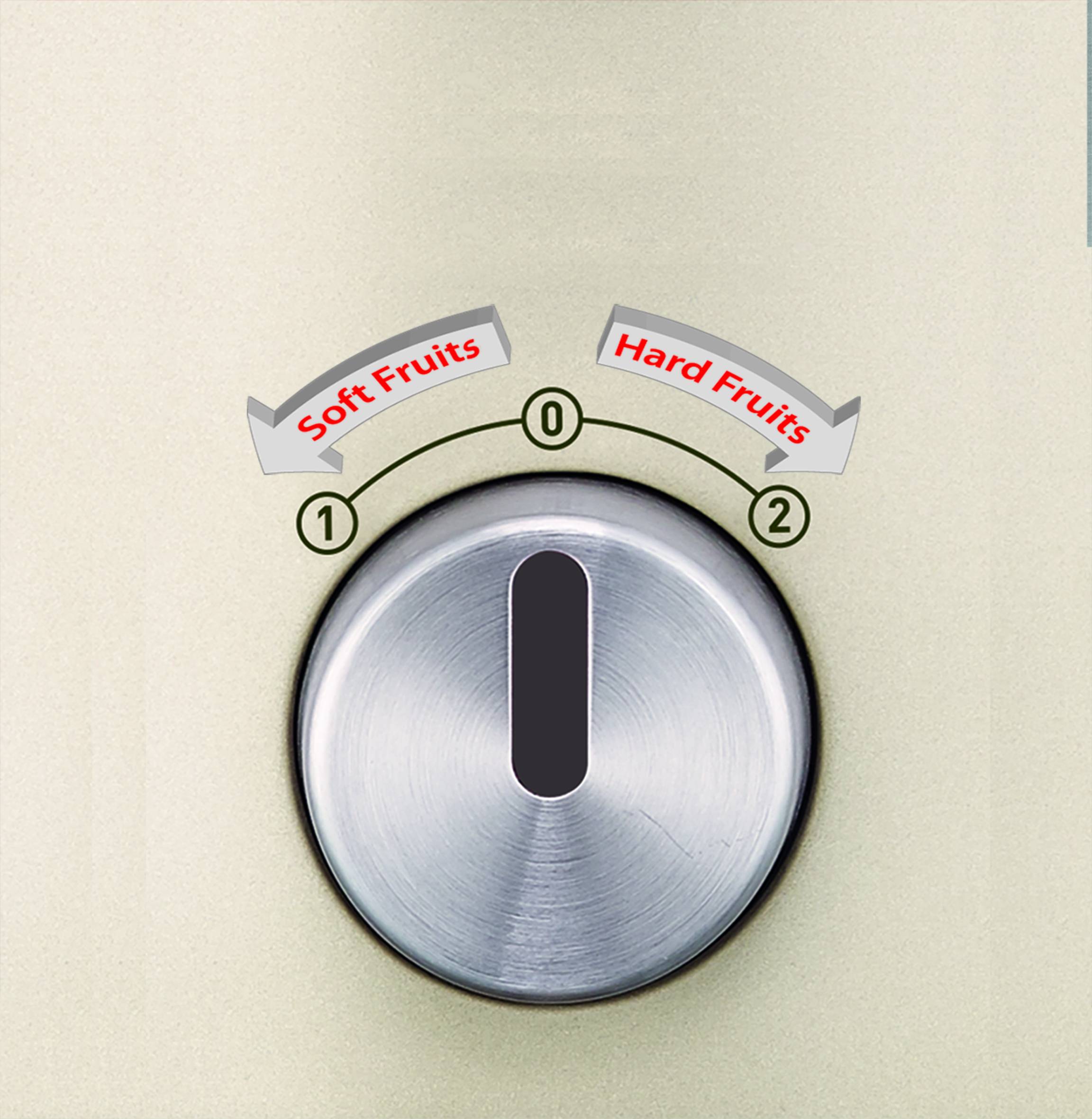 EASY FRUIT Silver JU585H39