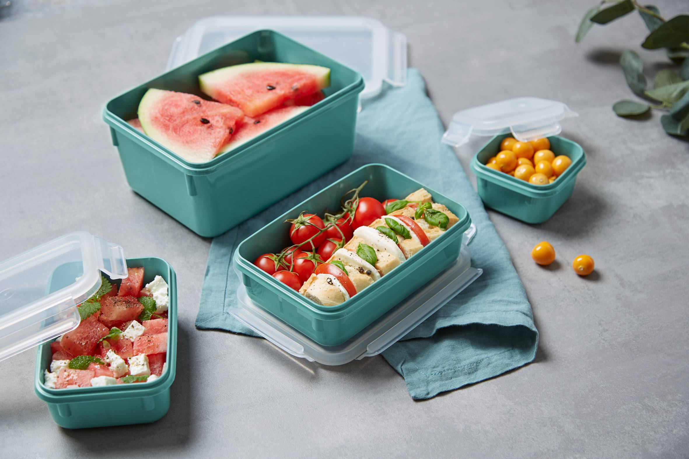 MasterSeal Color N1031010 Set van 4 bewaardozen - 0,20L / 0,55L / 0,80L / 2,2L