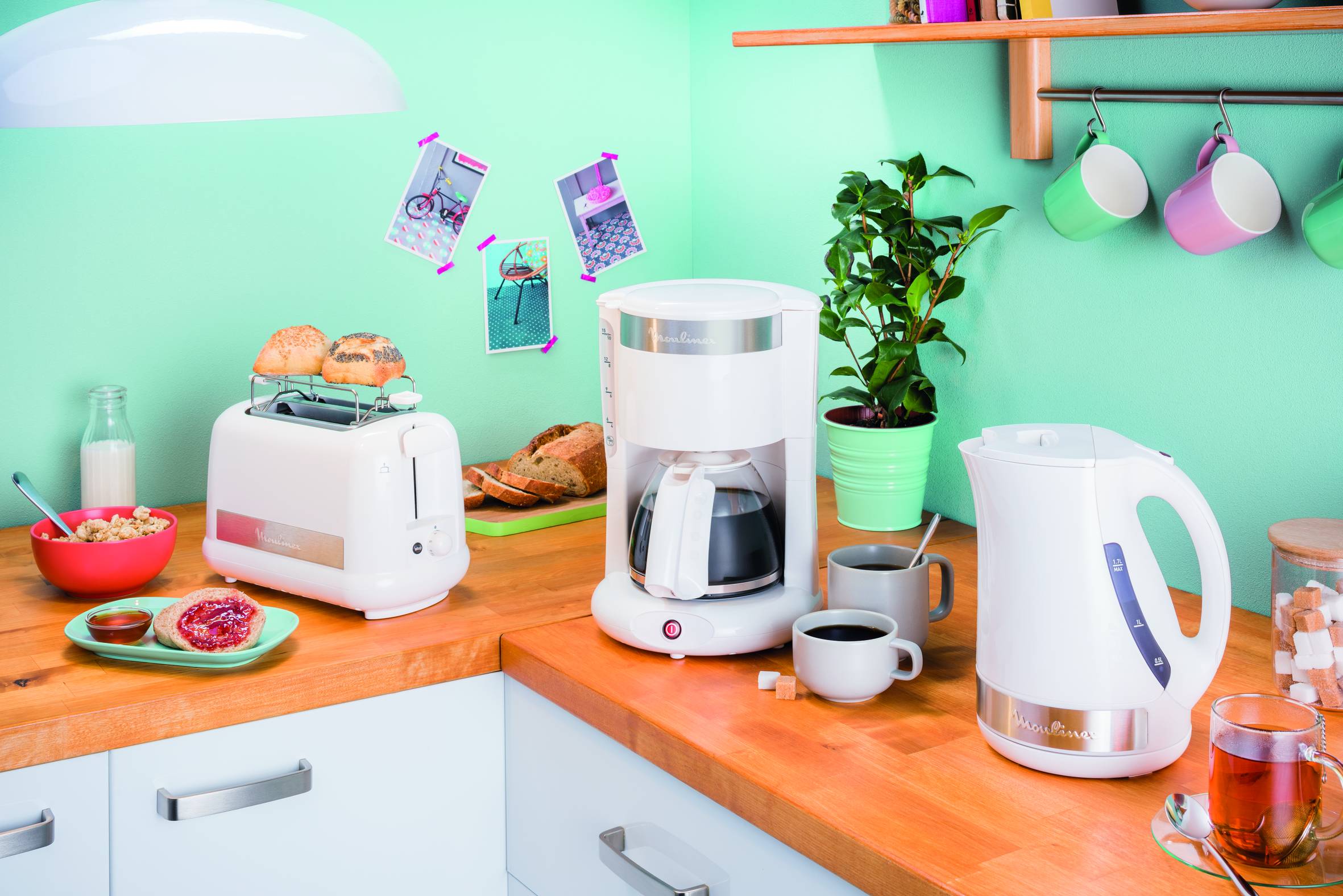 PRINCIPIO PLUS FG264100