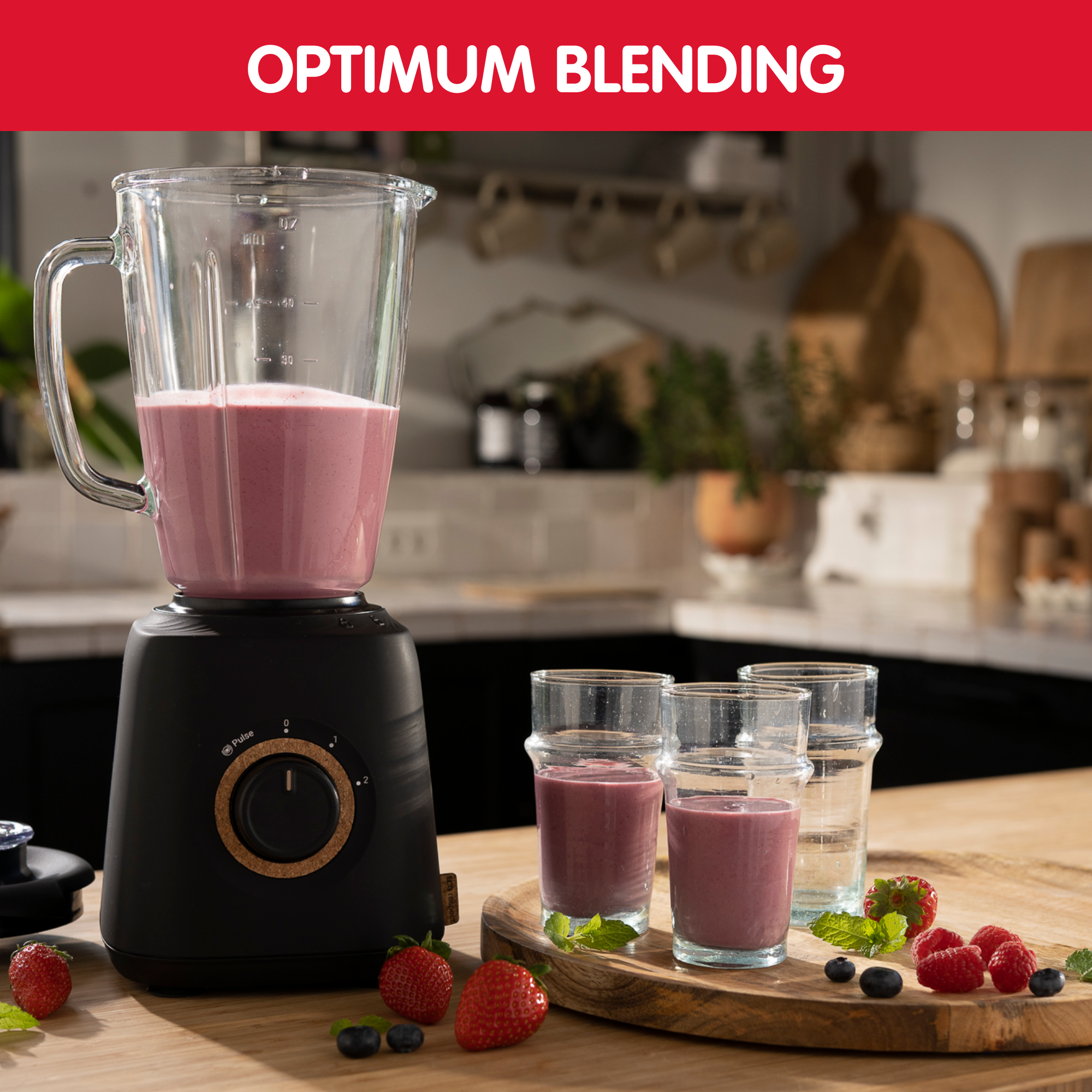 Eco Respect LM46EN10 Blender - 800W - 3 vitesses - 1,75L