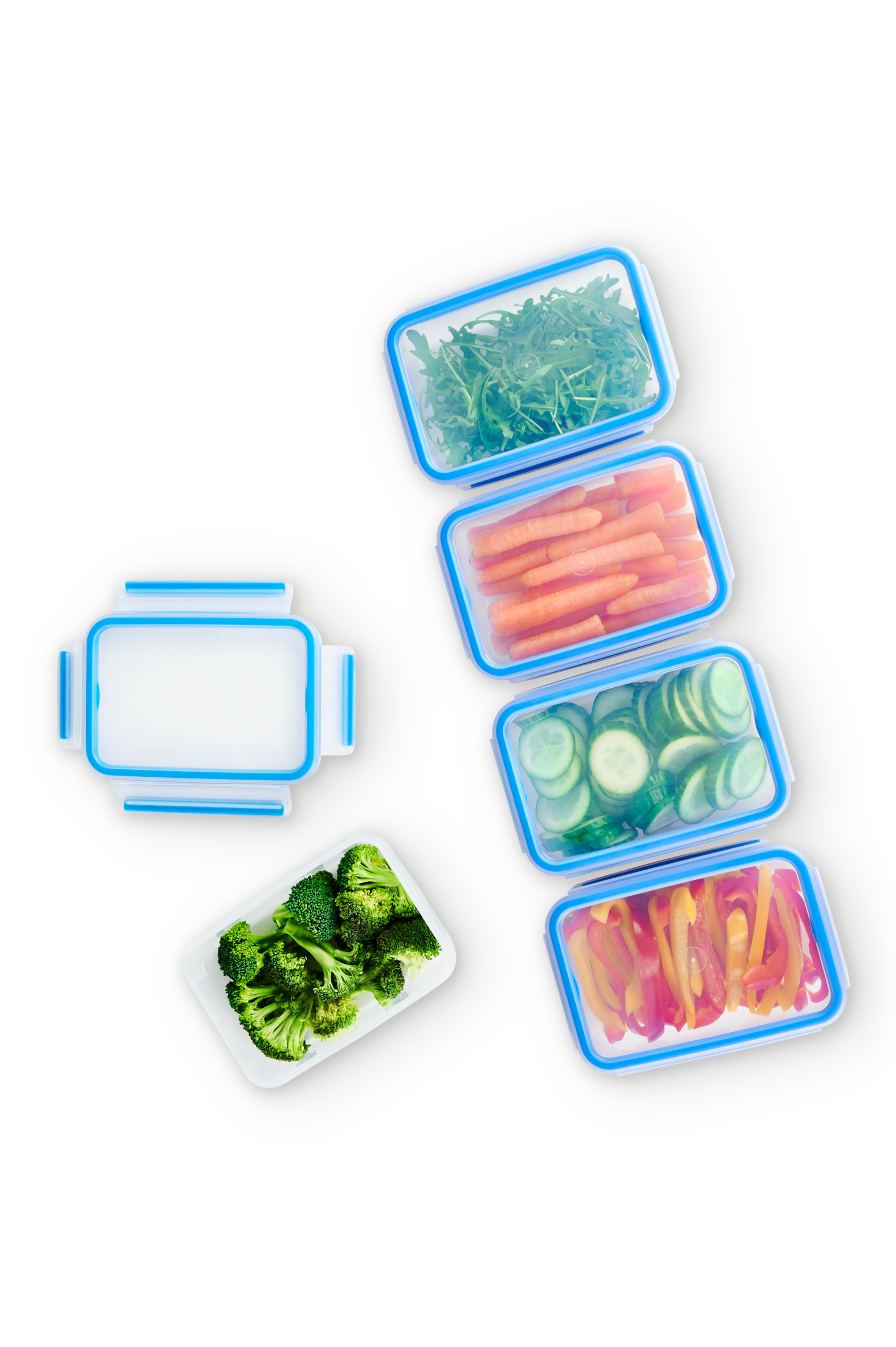 MasterSeal Fresh N1030710 Set de 5 boîtes de conservation - 0,8L