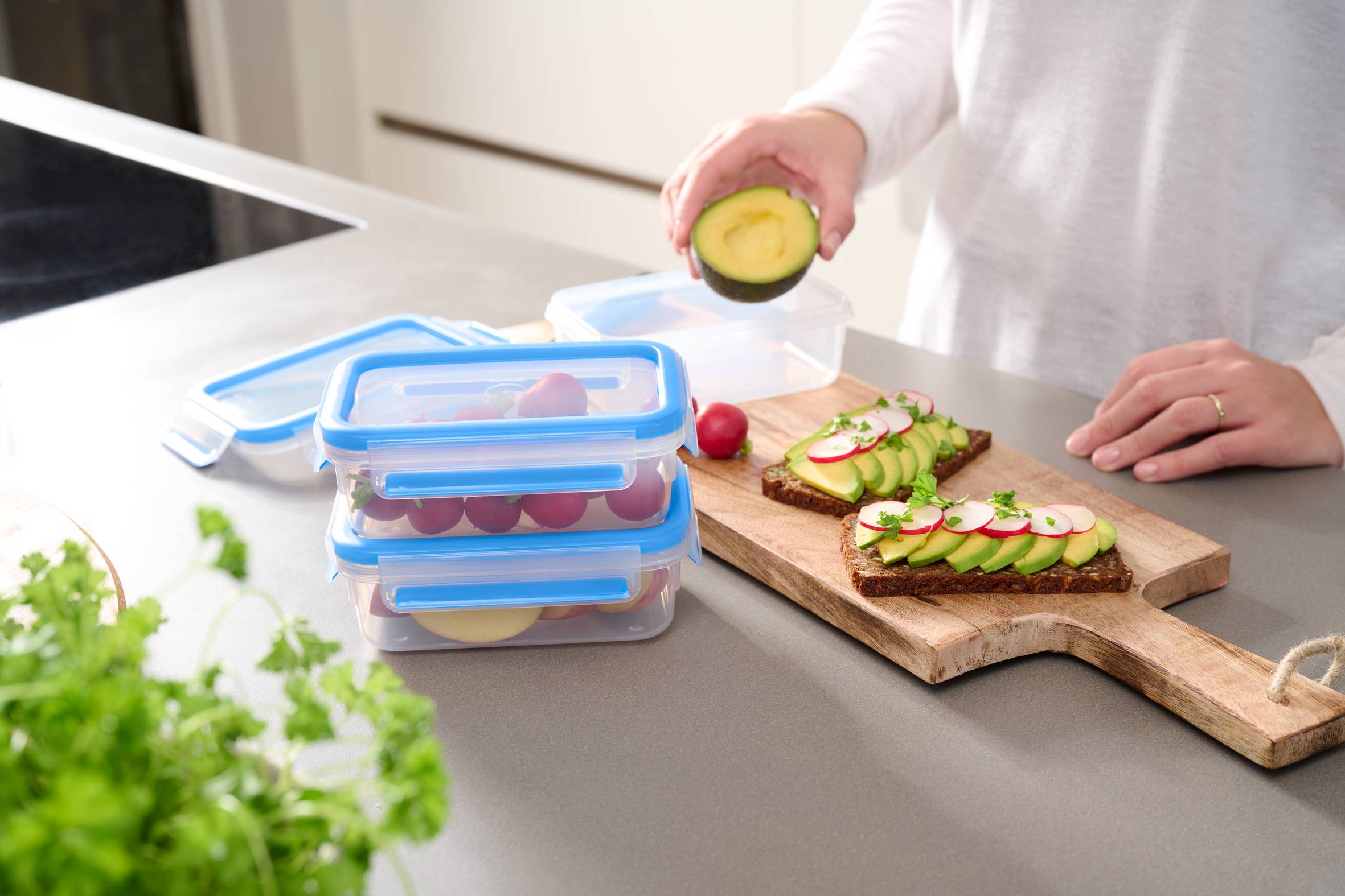 MasterSeal Fresh N1031251 Set de 3 Boîtes de conservation - 0,55L