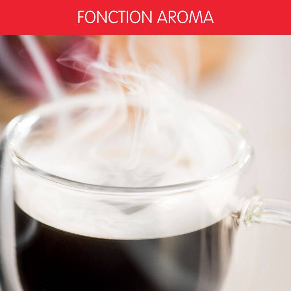 Majestuo FG883D10 Cafetière à filtre - 15 tasses - Programmable