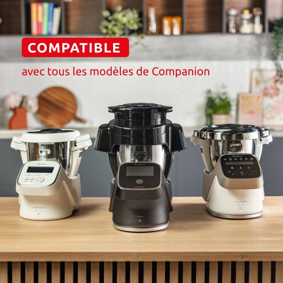 Companion Air fryer HF1508F0 Accessoire Air Fryer & Grill pour Companion - 4 modes de cuisson