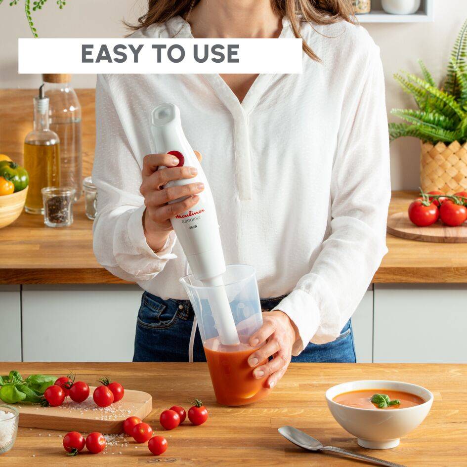 TurboMix DD12A110 Mixeur plongeant - 350W - 2 accessoires