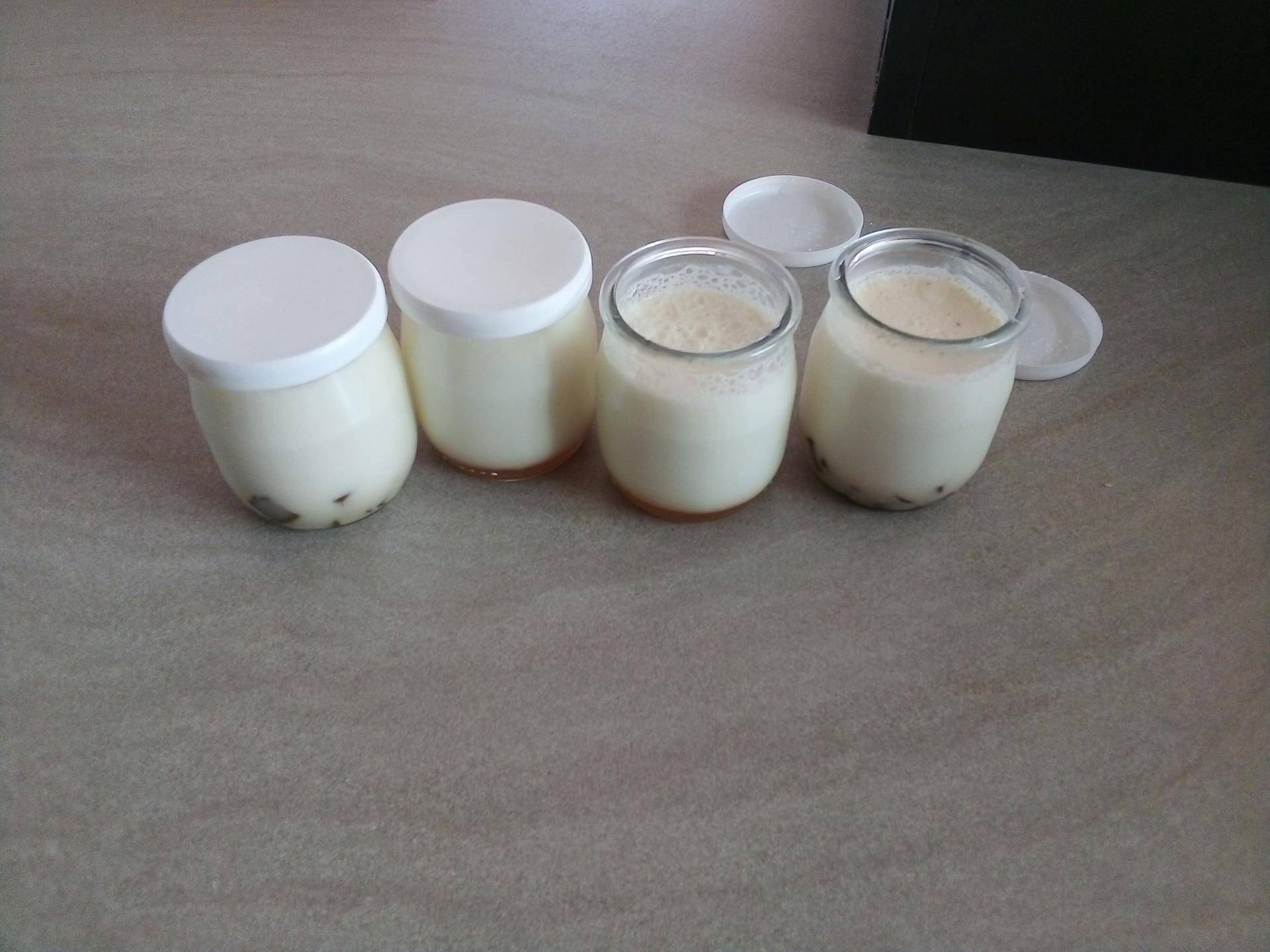 Yaourts au four ou yaourtiere - Recette Companion Connect XL | Moulinex