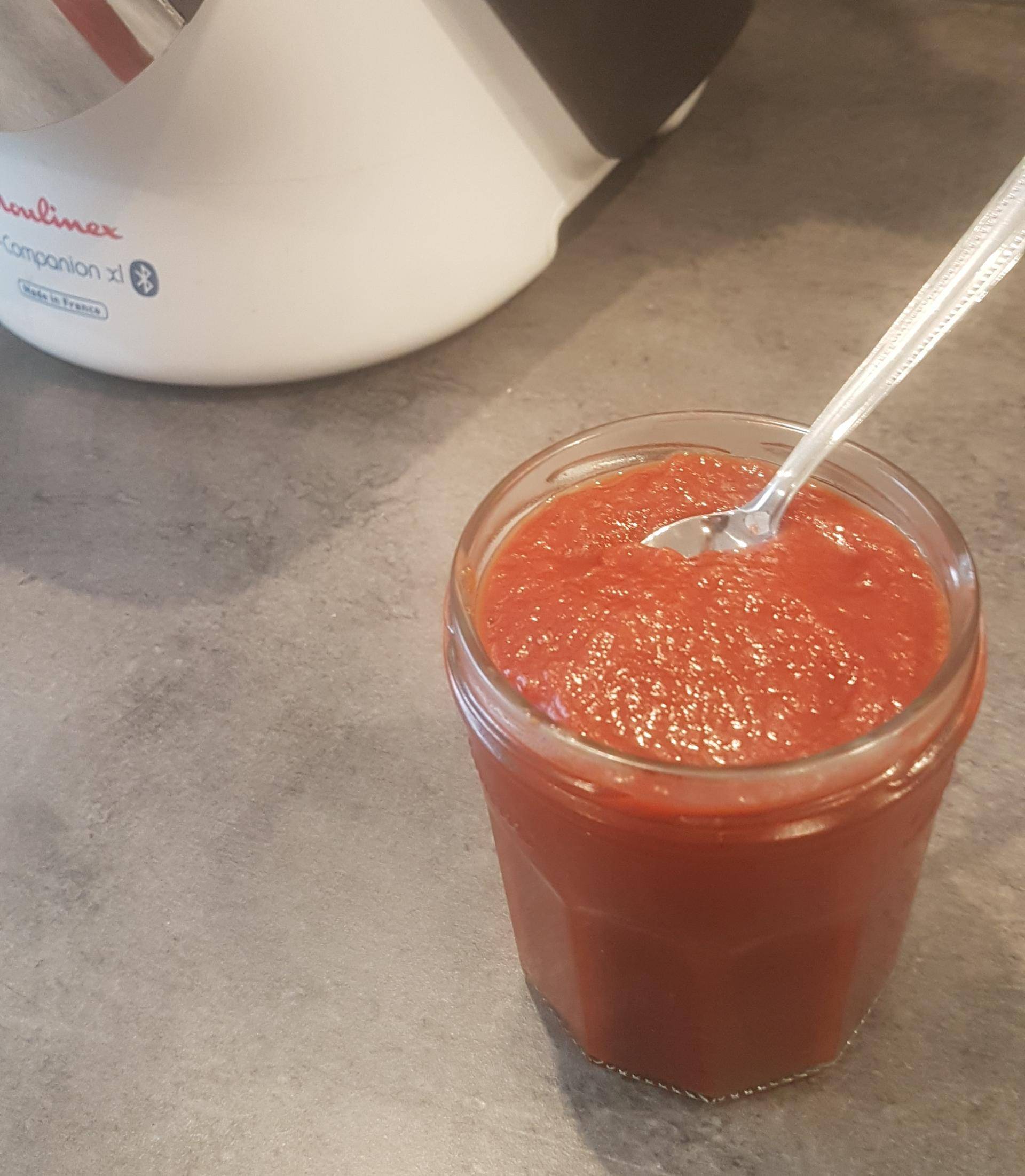 Ketchup - Recepten Companion Connect | Moulinex