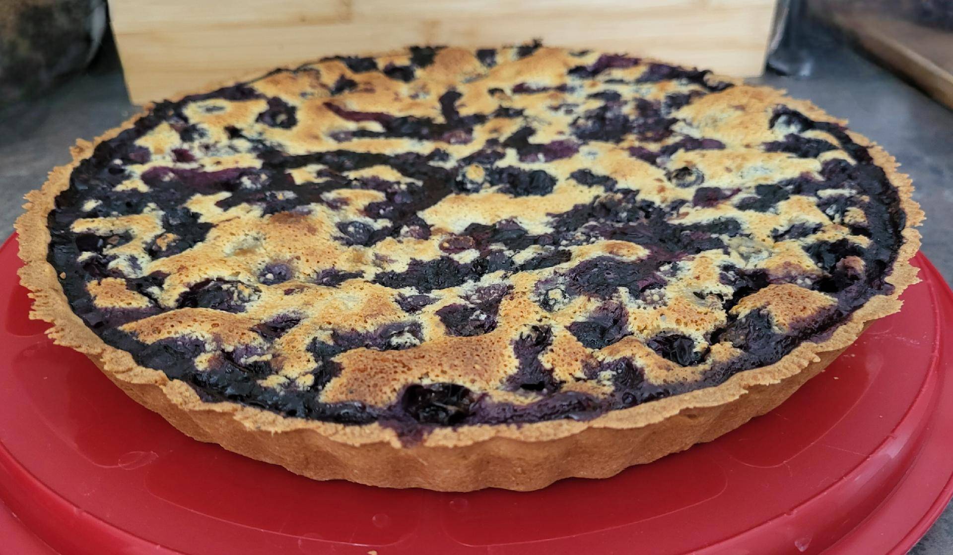 Tarte amande myrtille - Recepten Companion Connect XL | Moulinex