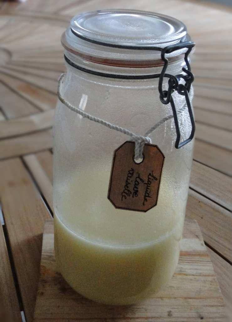 Liquide vaisselle naturel - Recette Companion Connect XL | Moulinex