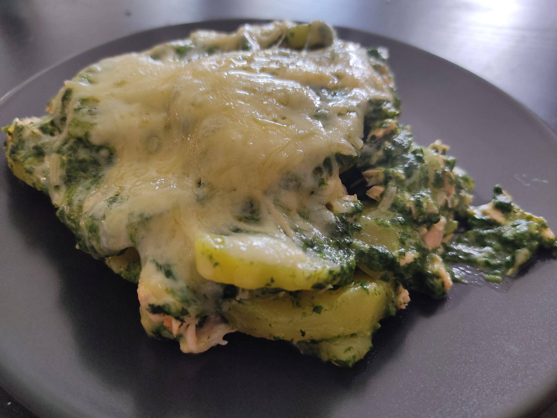Gratin express saumon épinards - Recepten Cookeo | Moulinex