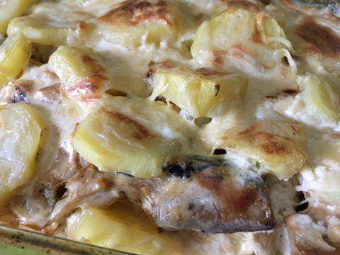Gratin de pommes de terre au maquereau et ciboulette - Recette Cookeo | Moulinex