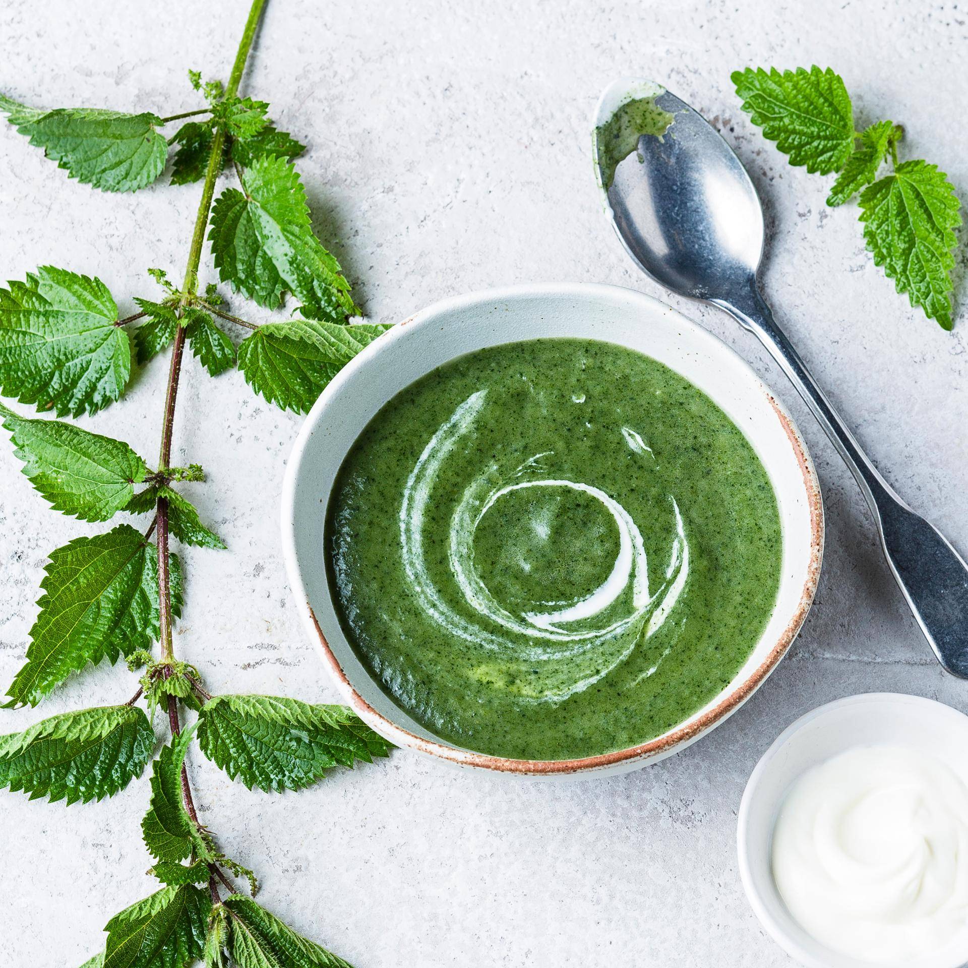 Soupe à l'ortie - Recette Cookeo | Moulinex