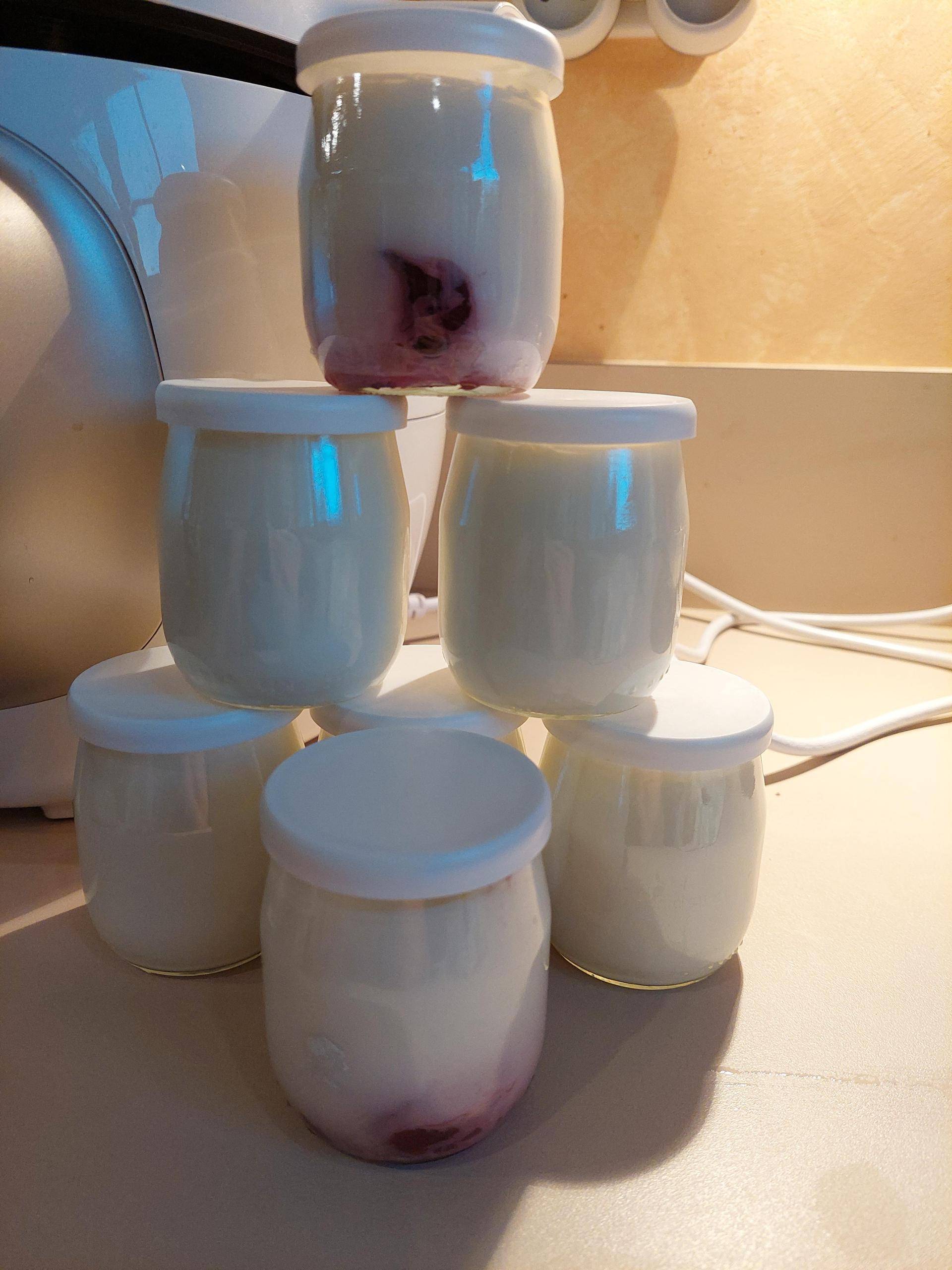 Yoghourts - Recette Cookeo | Moulinex