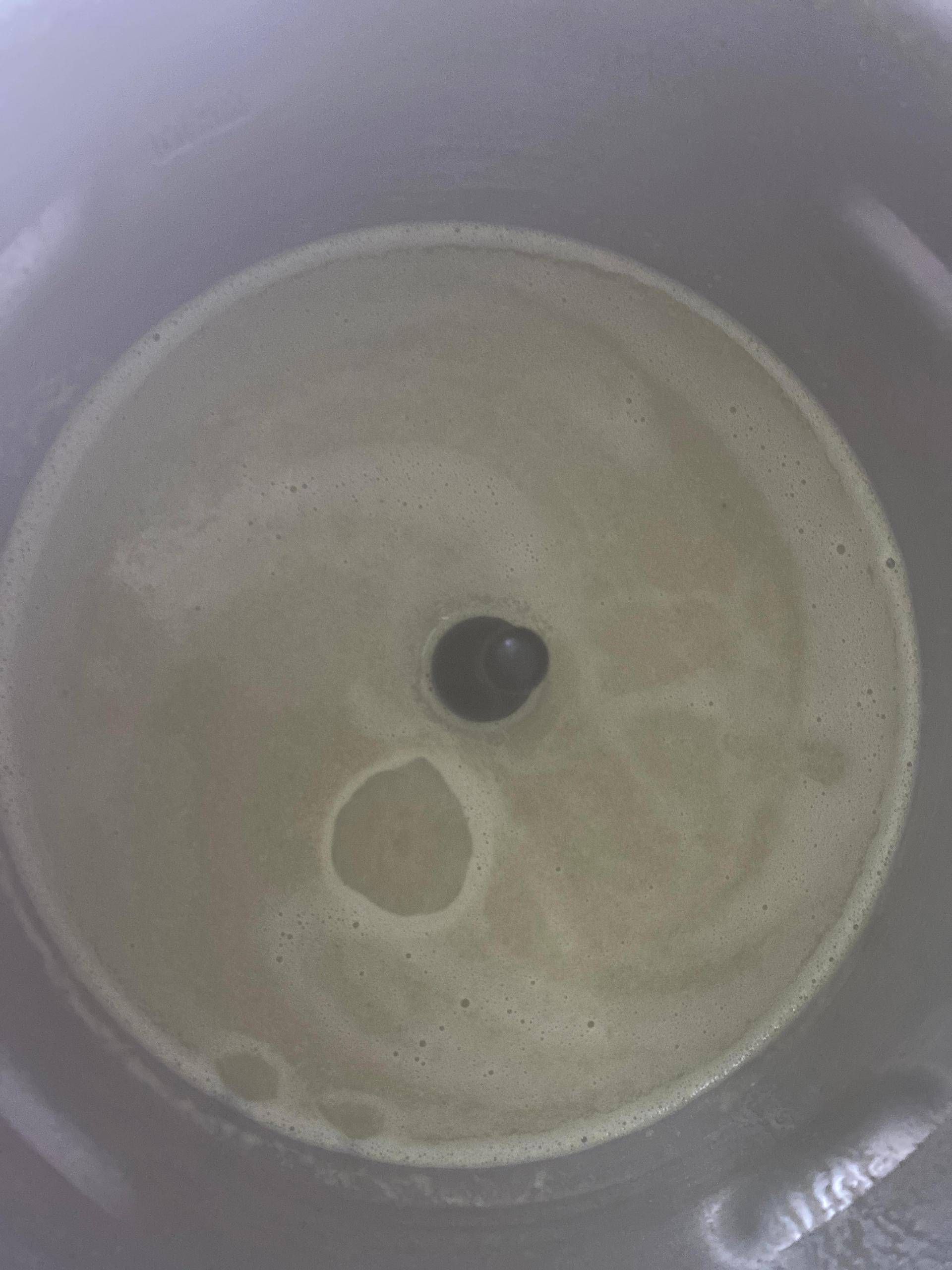 Velouté d’haricots verts - Recette Companion Connect XL | Moulinex