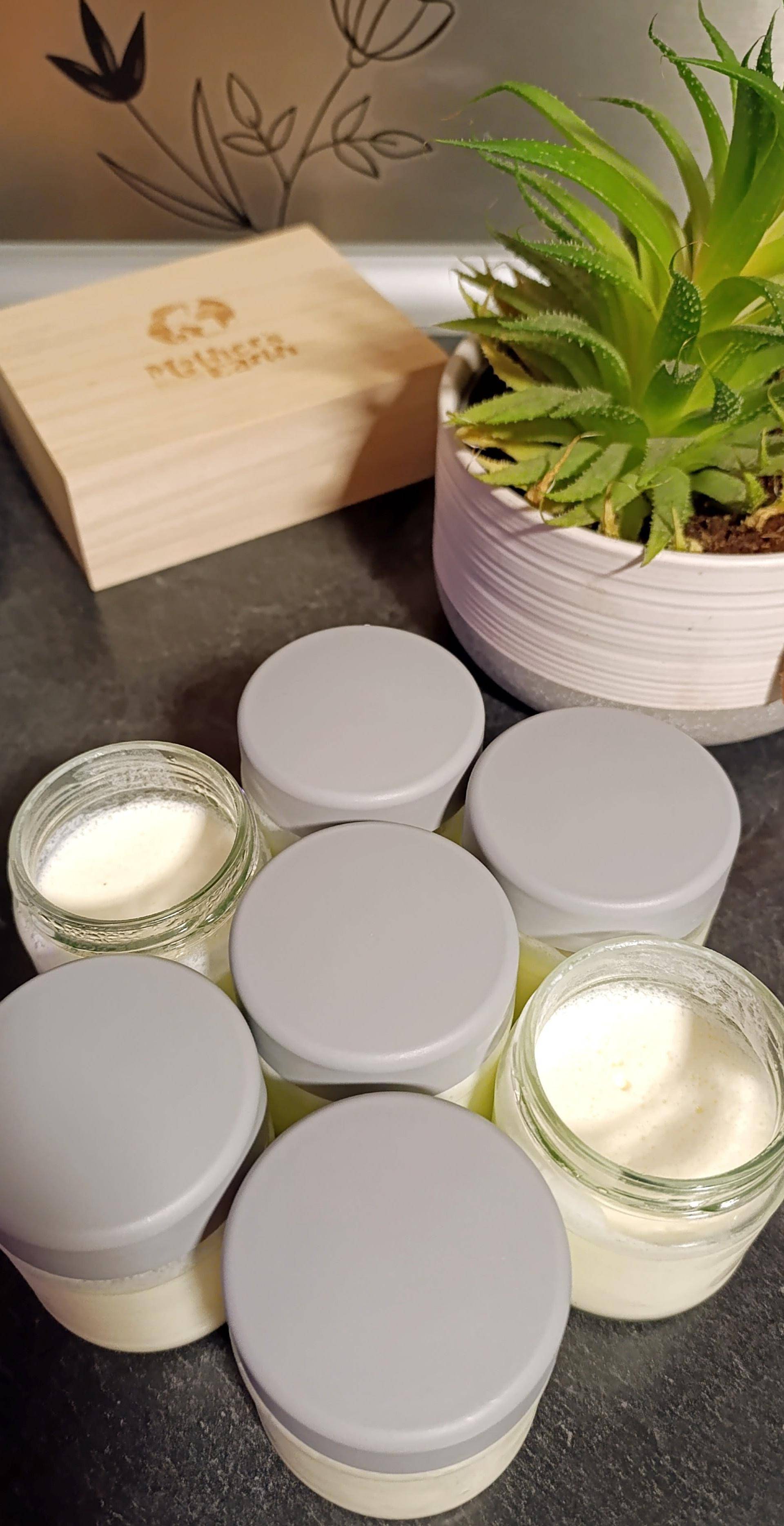 Yaourts maison au mascarpone - Recette Companion Connect | Moulinex