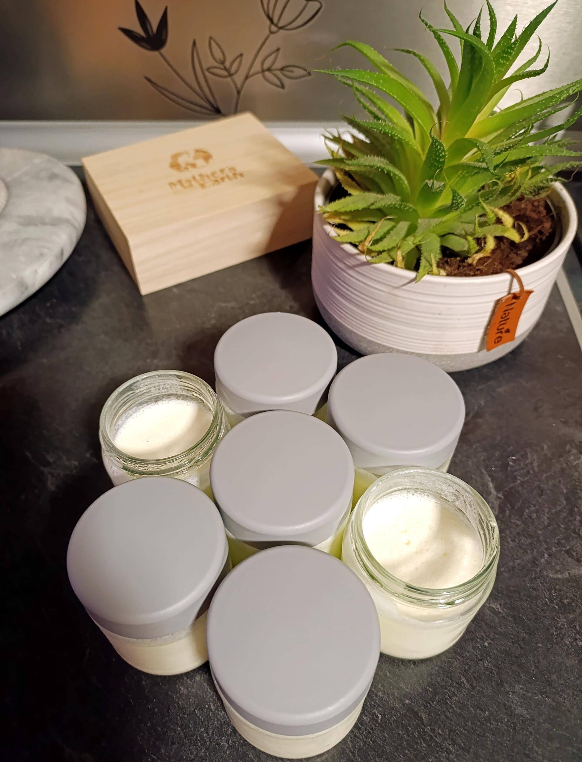 Yaourts maison au mascarpone - Recette Companion Connect | Moulinex