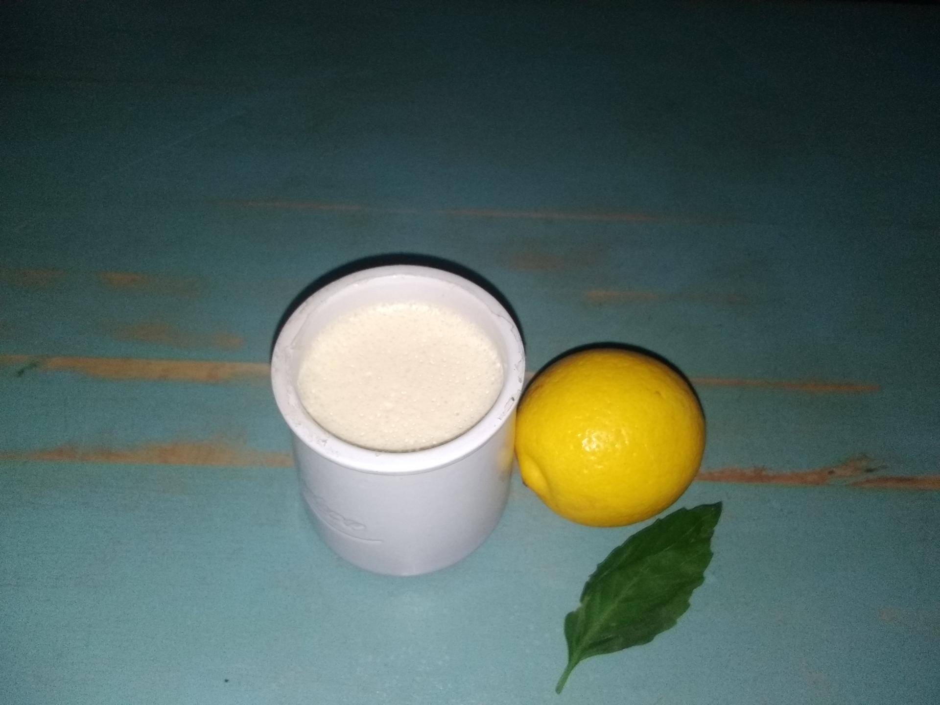 Panna Cotta citron basilic - Recepten Companion XL | Moulinex