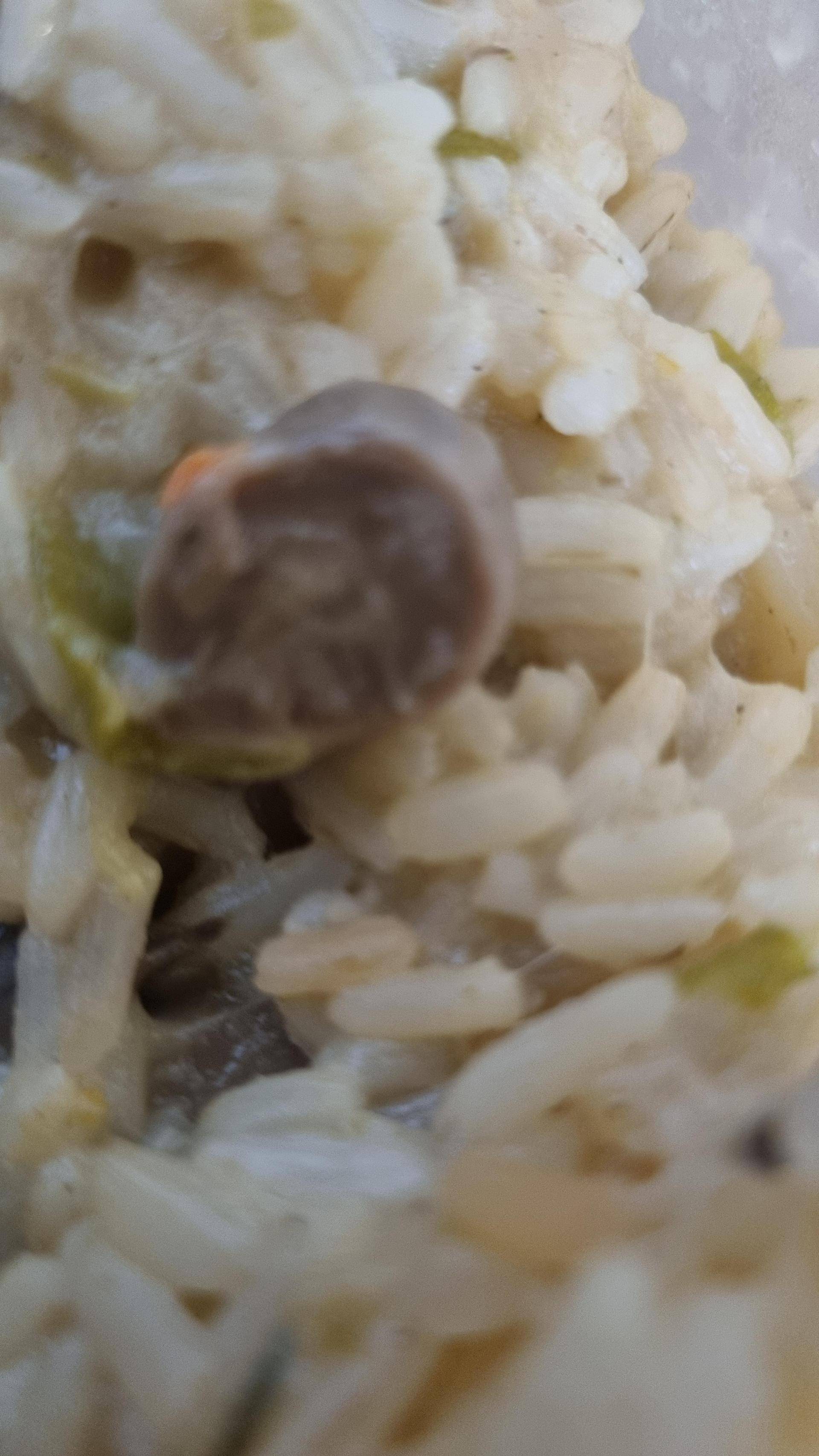 Risotto champignon courgette - Recepten Cookeo | Moulinex