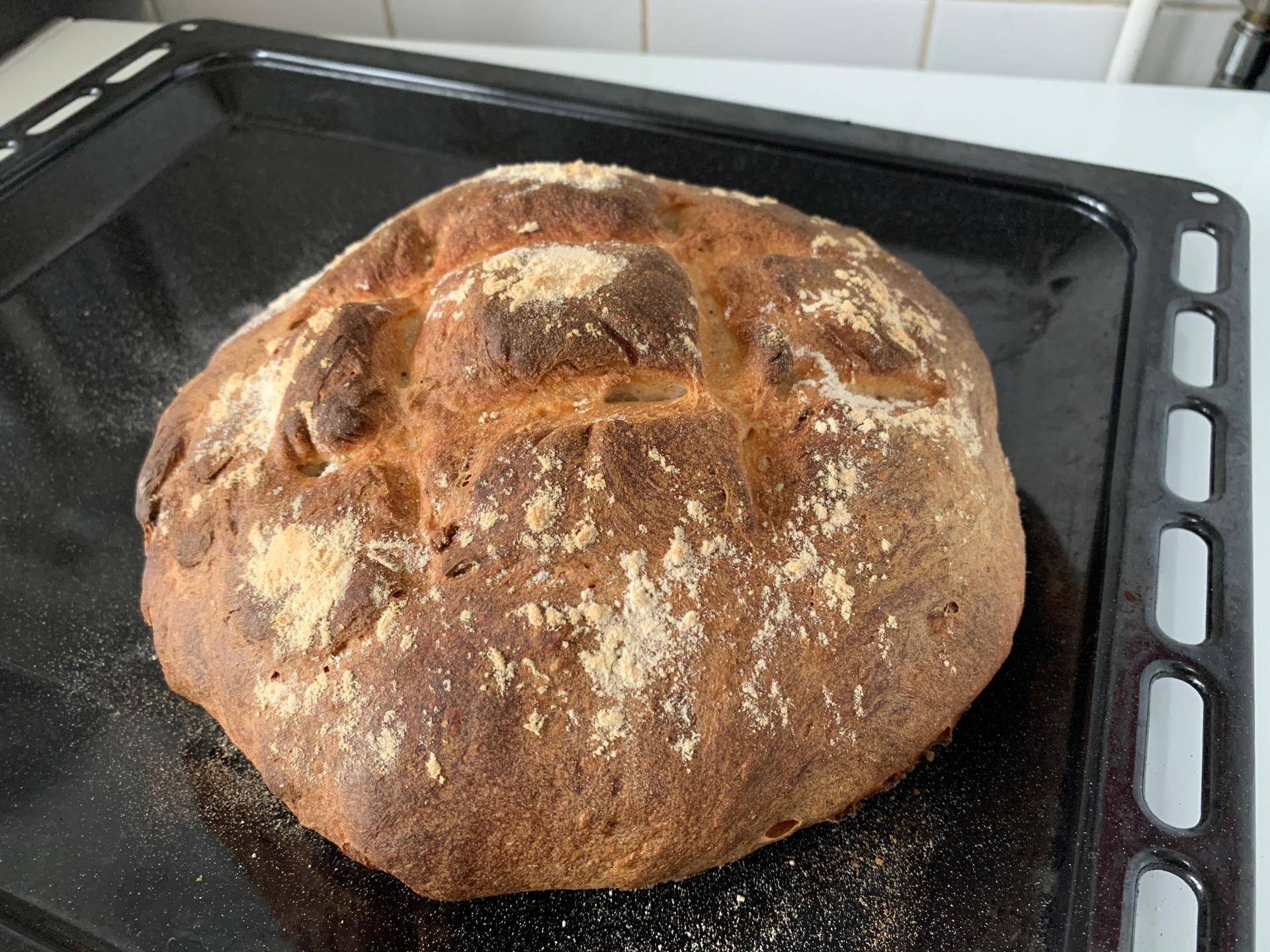 Pain de campagne - Recepten Companion Connect XL | Moulinex