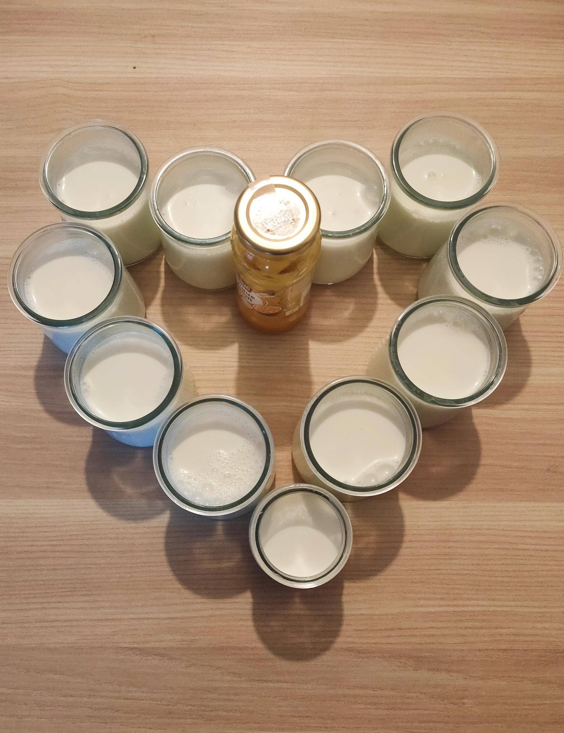 Panna cotta Sandriel - Recepten Companion XL | Moulinex