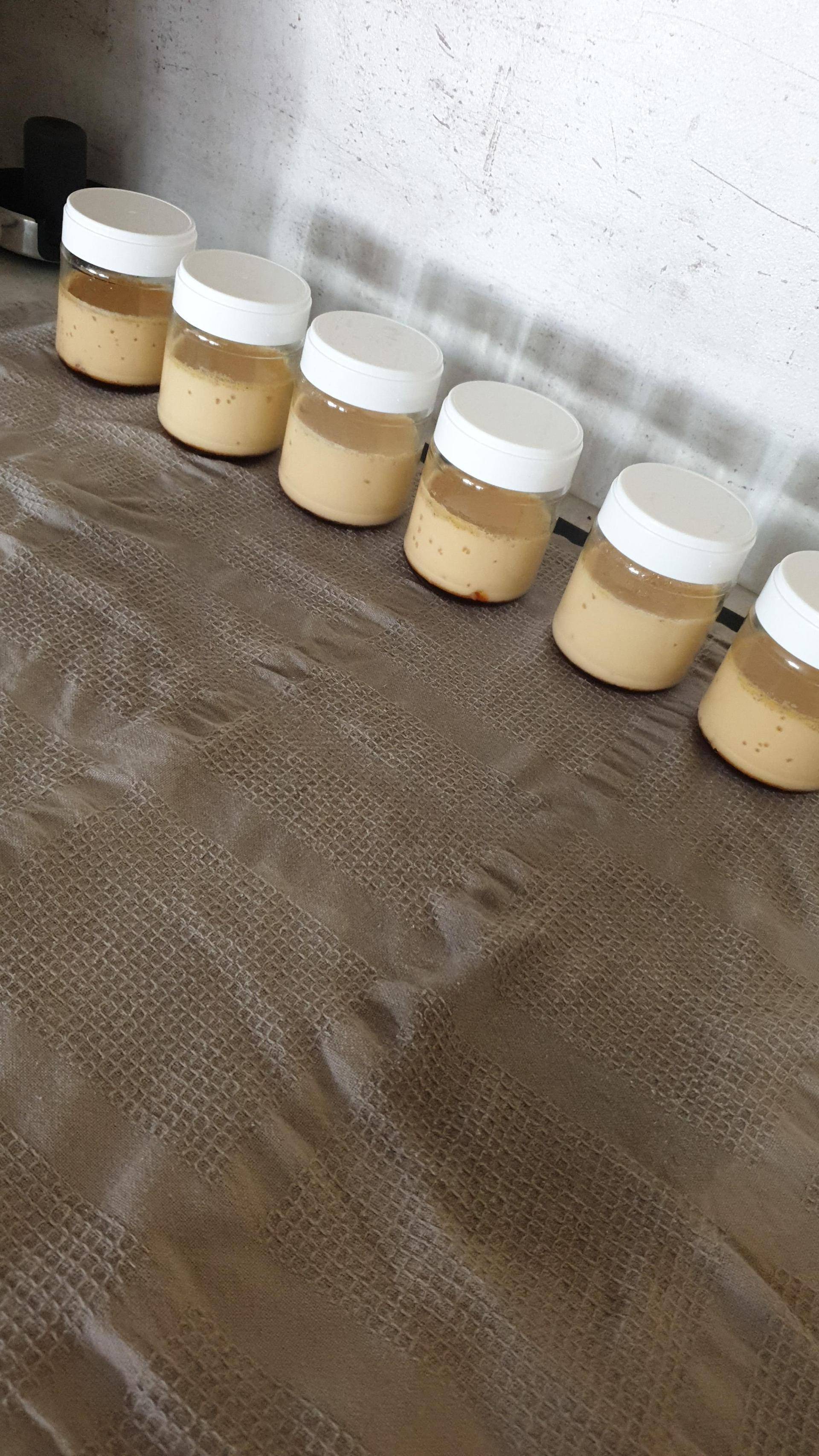 Flan au caramel - Recepten Companion Connect XL | Moulinex