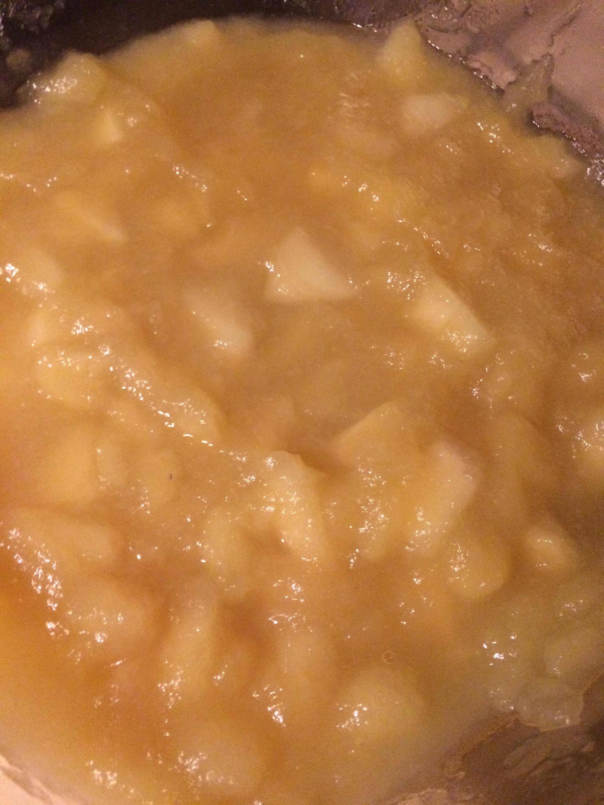 Compote de pommes avec morceaux - Recepten Companion Connect | Moulinex
