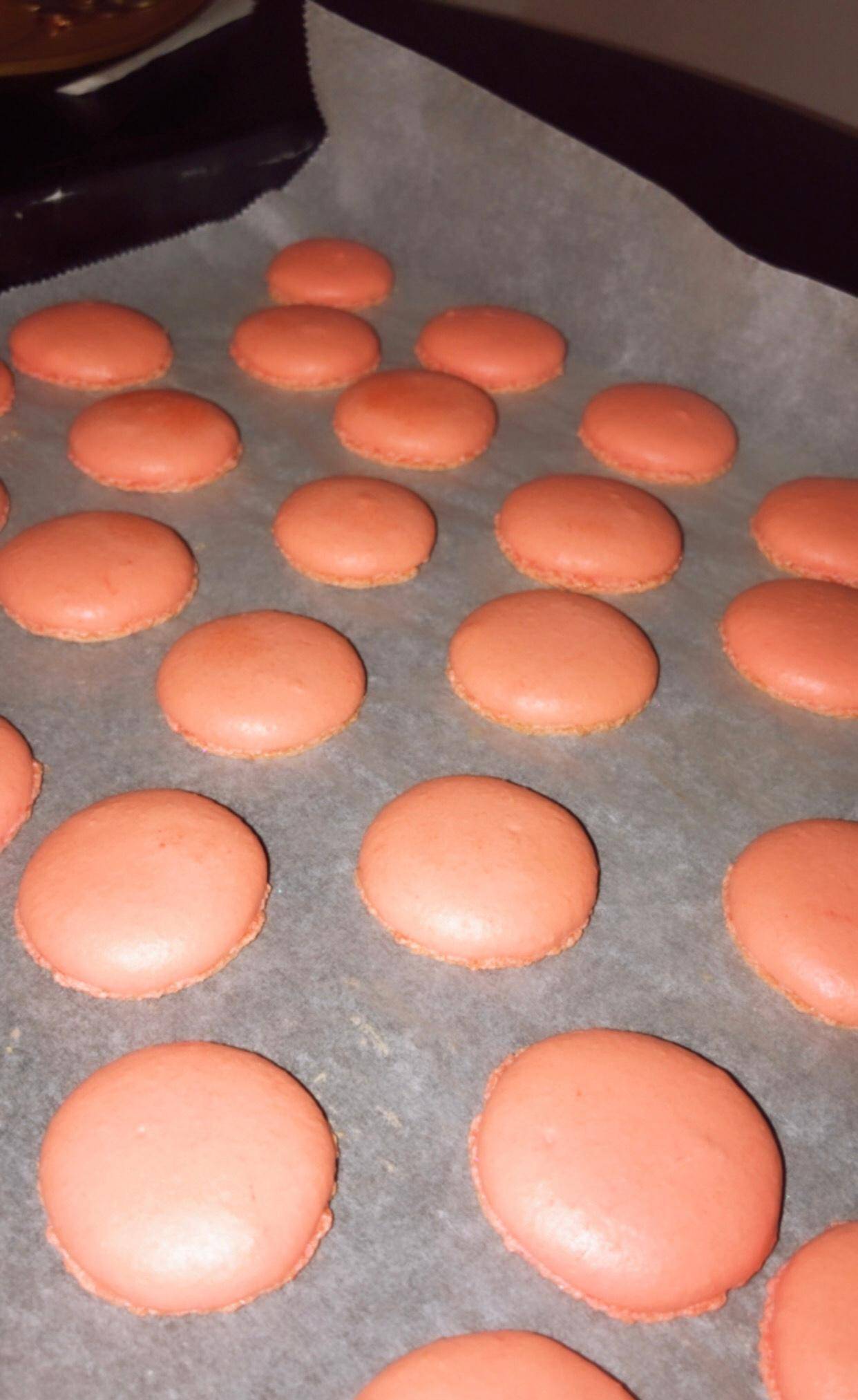 Coque de macarons - Recepten Companion XL | Moulinex