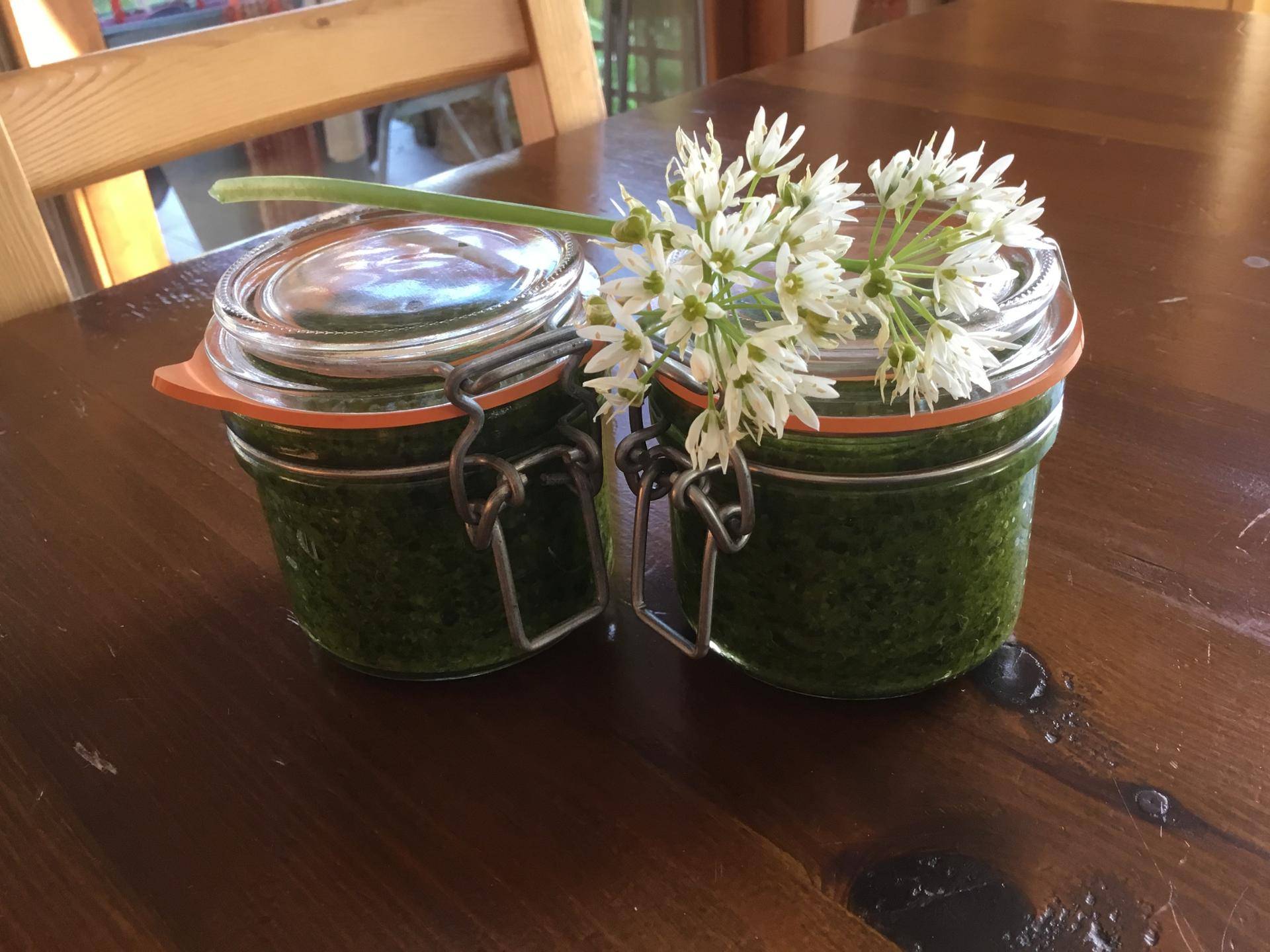 Pesto à l’ail des Ours. - Recette Companion XL | Moulinex