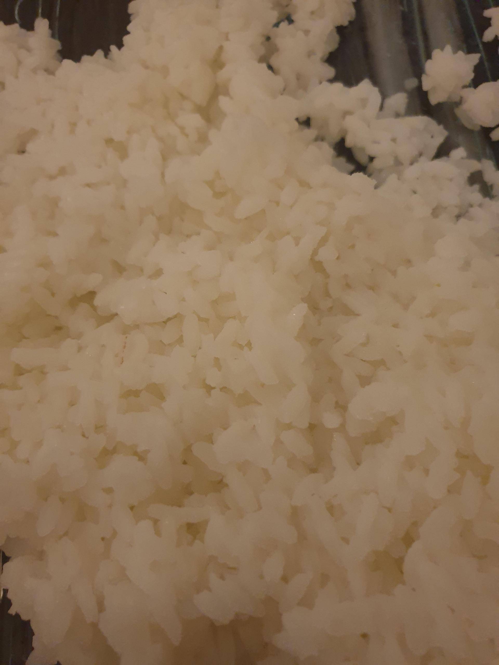 Riz a sushi - Recepten Companion XL | Moulinex