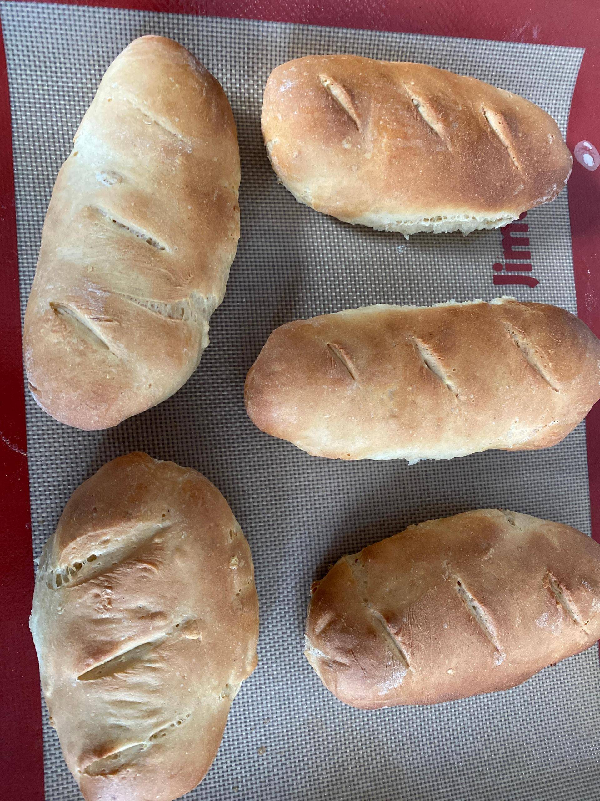 Pains à hot-dog ou pains viennois sans œufs - Recette Companion Connect XL | Moulinex