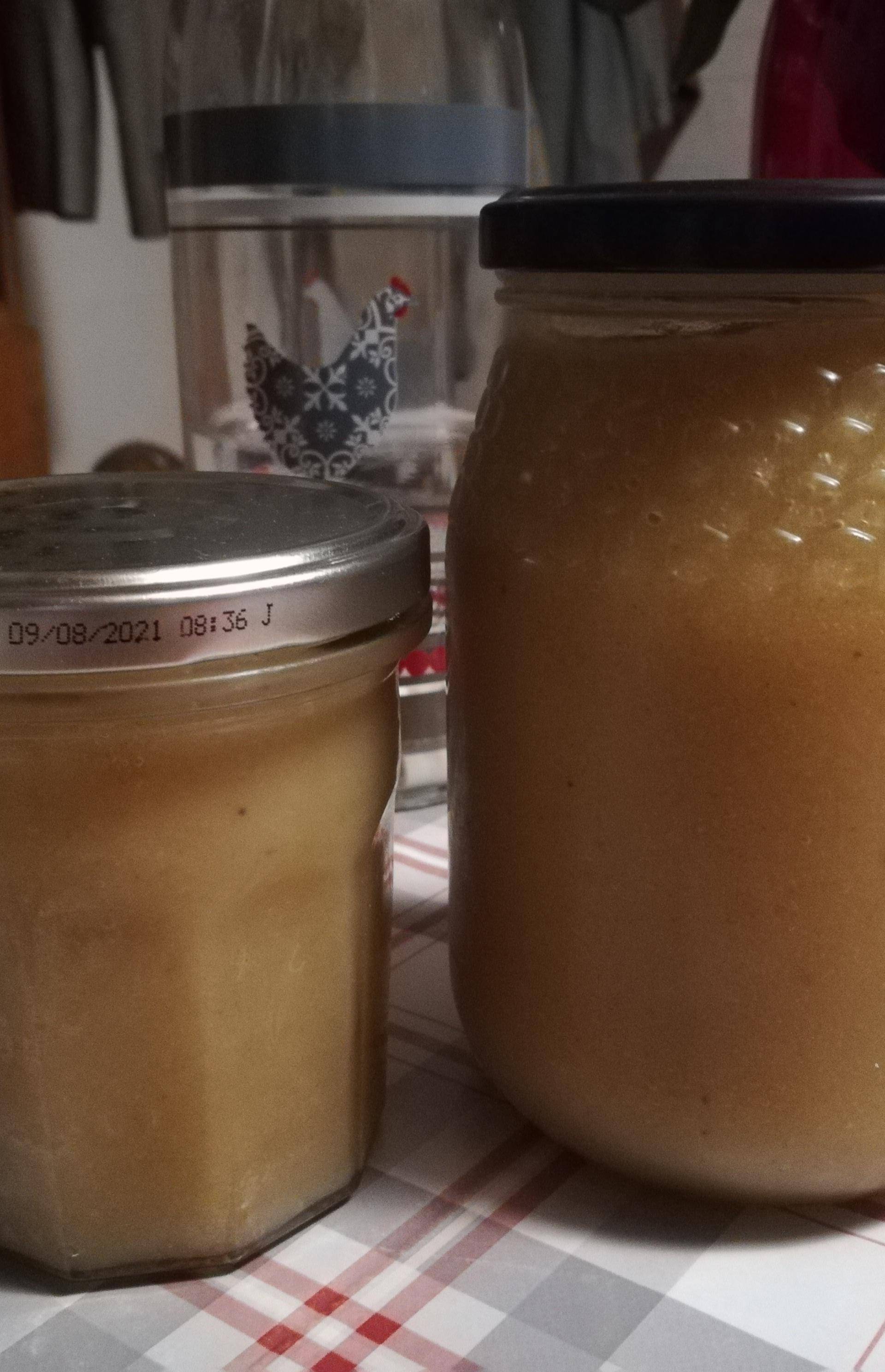 Compote Pommes Bananes - Recette Companion Connect XL | Moulinex