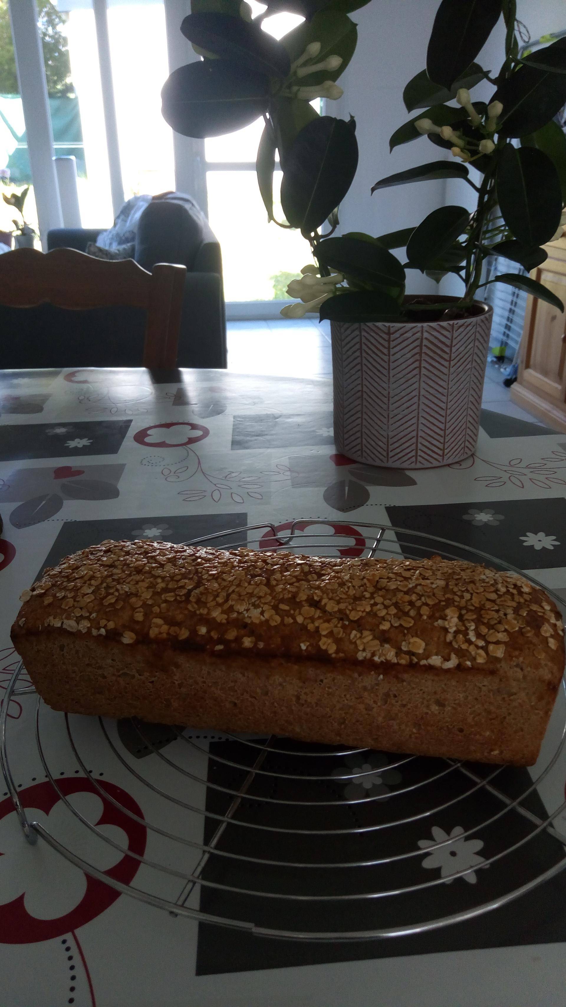 Pain aux flocons d'avoine et miel - Recepten Companion XL | Moulinex