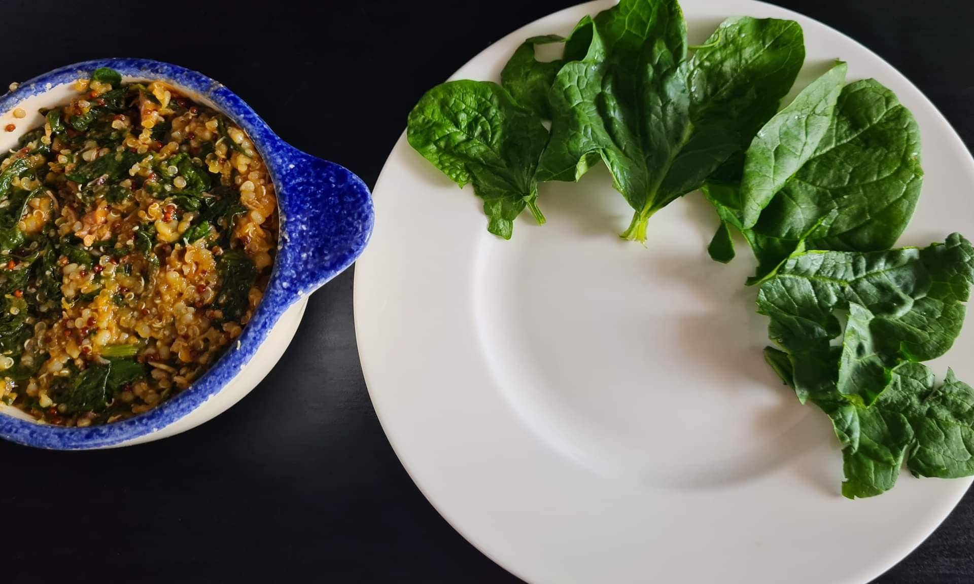 Bowl complet (quinoa, boulgour, porc et épinards) - Recette Companion Connect XL | Moulinex