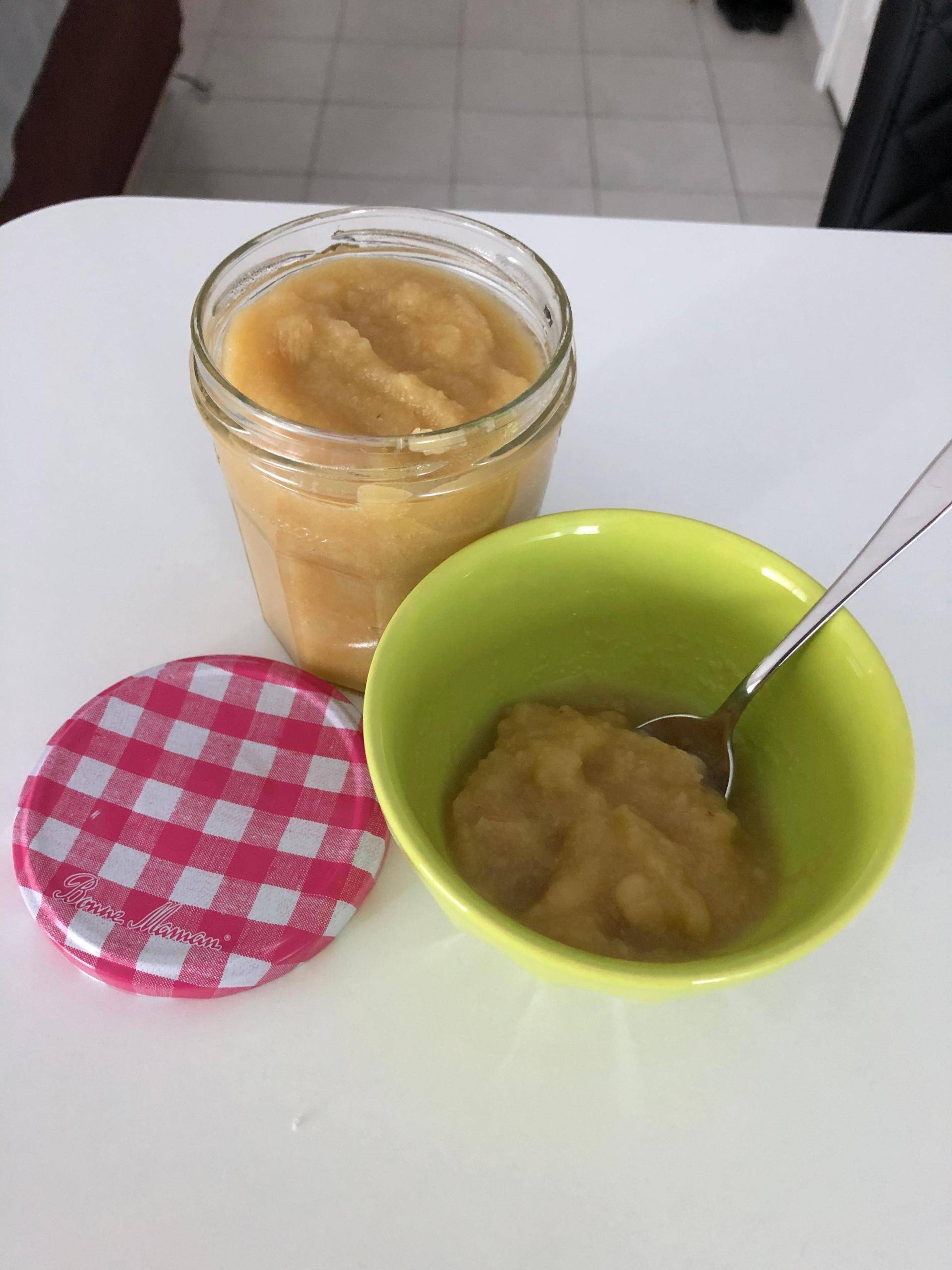 Compôte pomme rhubarbe - Recepten Companion Connect XL | Moulinex