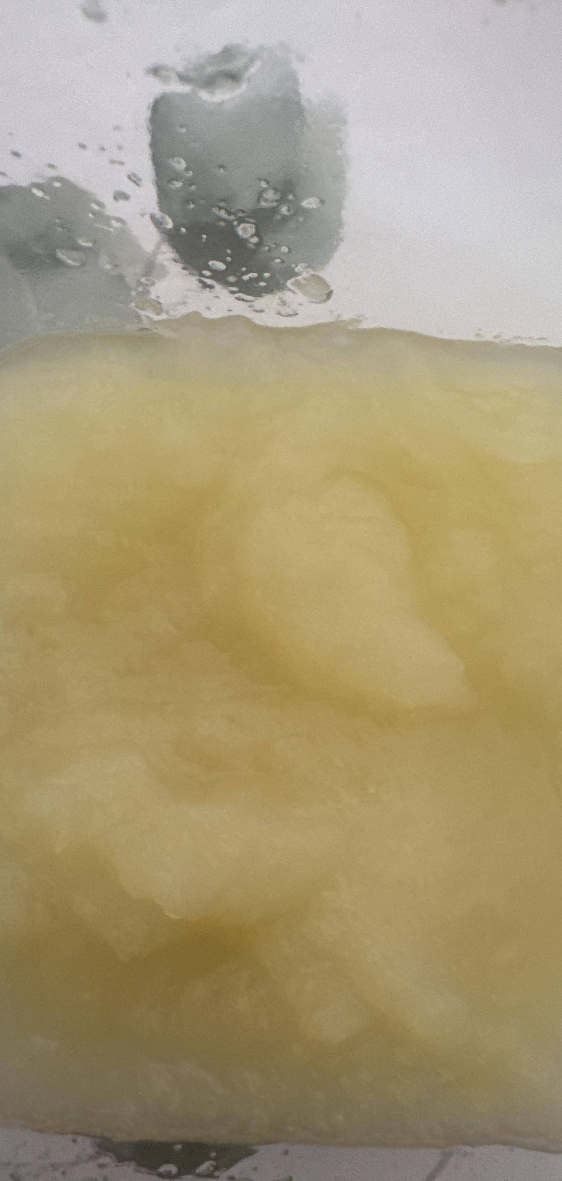 Compote pomme bébé - Recette Companion Connect XL | Moulinex