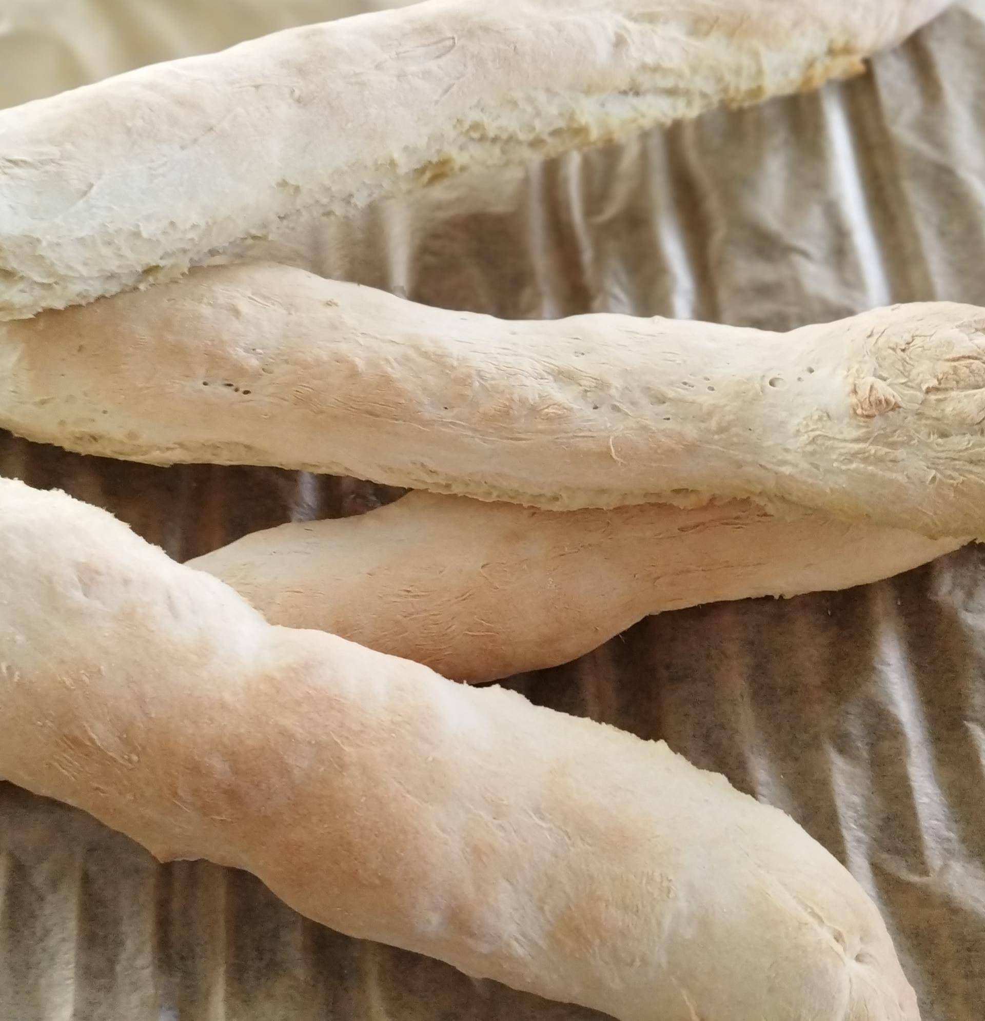 Baguettes "Crousti Moelleuses" - Recette Companion Connect XL | Moulinex
