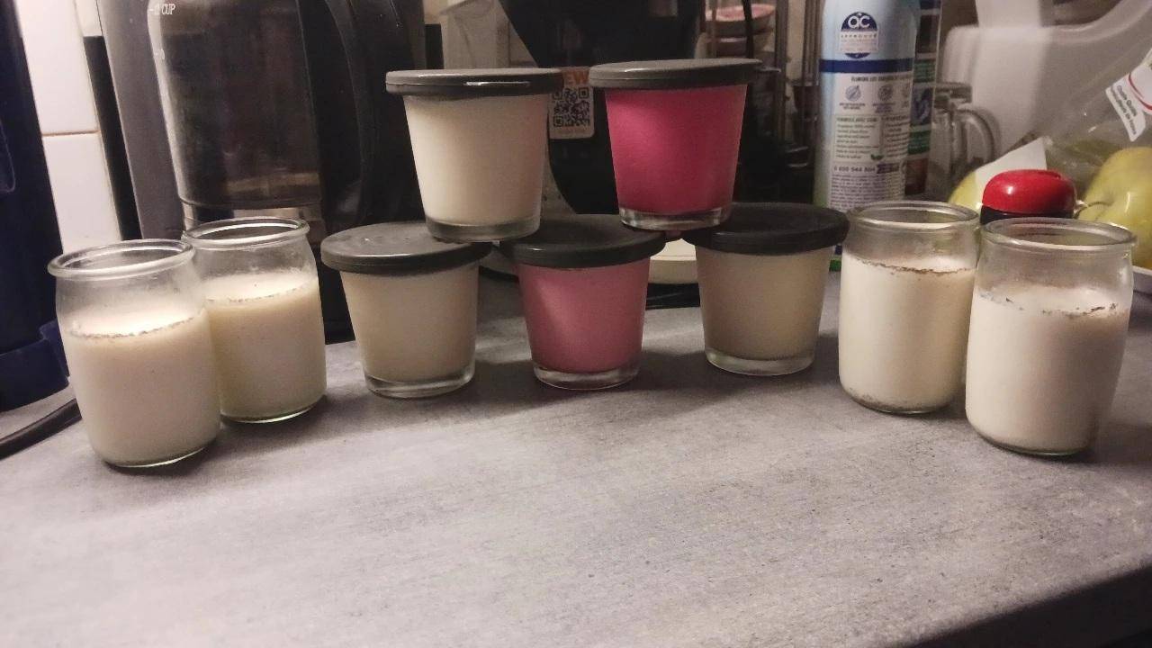 Yaourt à la rose 🌹 - Recette Cookeo | Moulinex