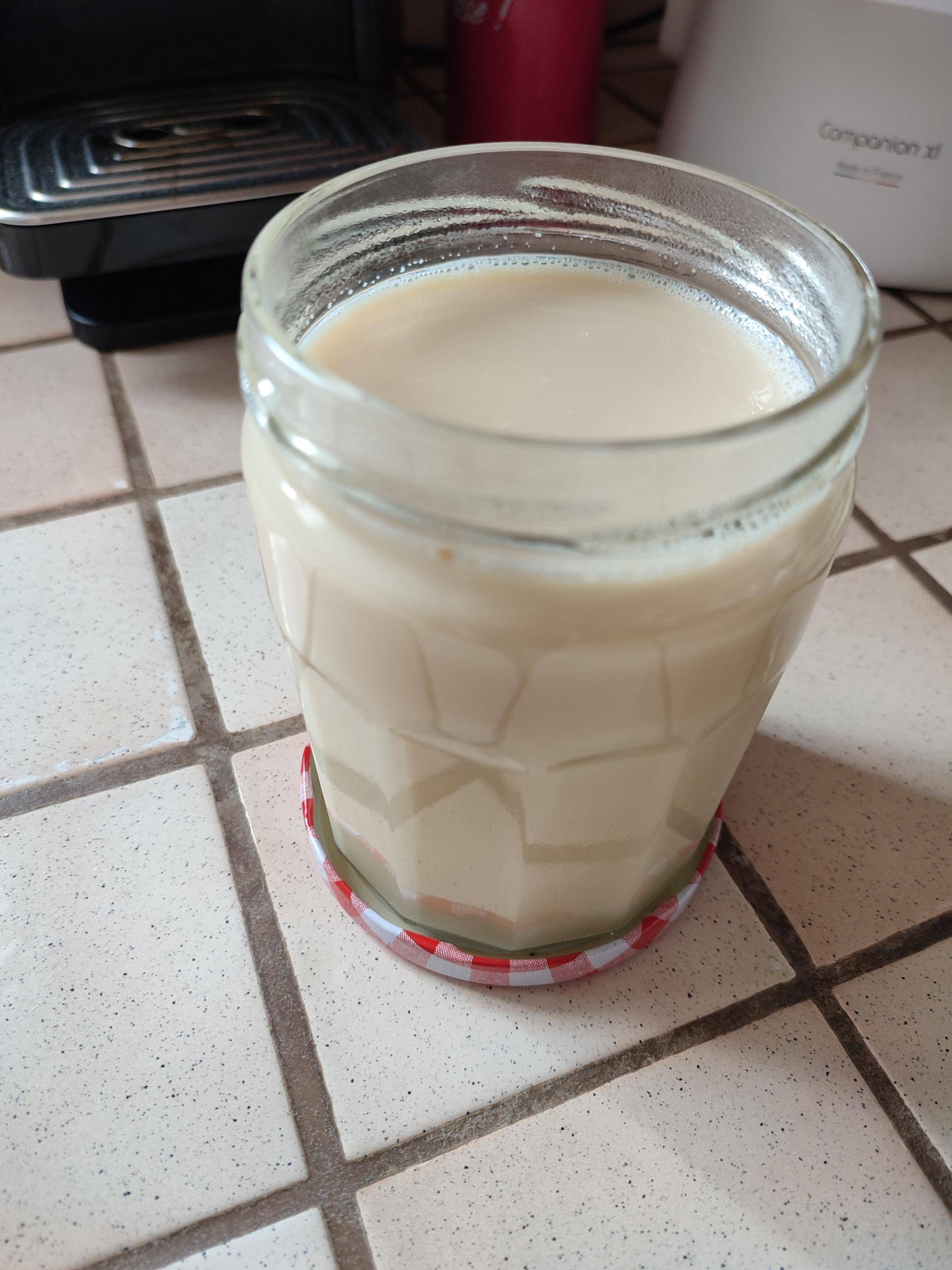Lait concentré sucré - Recepten Companion XL | Moulinex