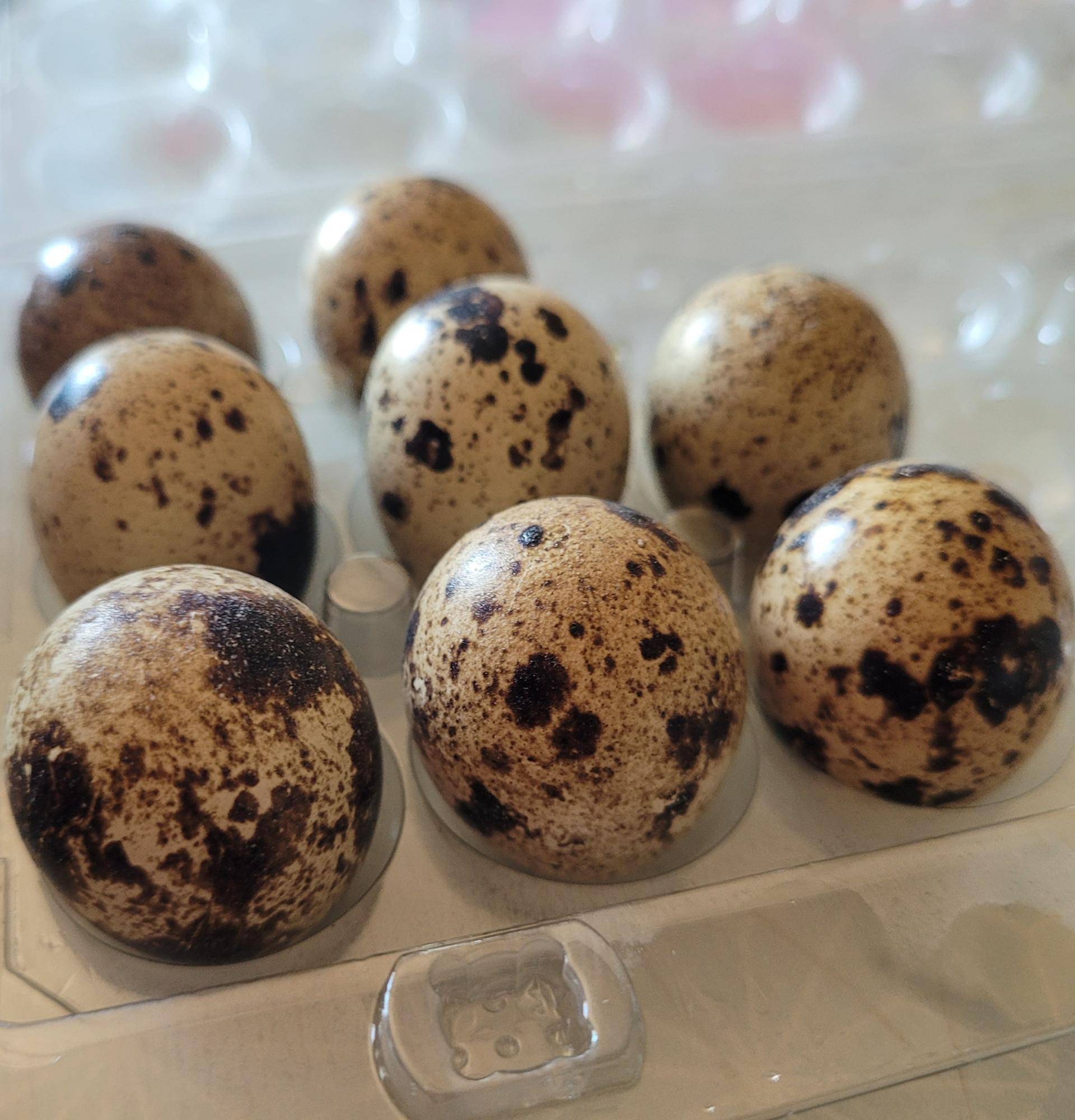 Oeuf durs de caille - Recepten Cookeo | Moulinex