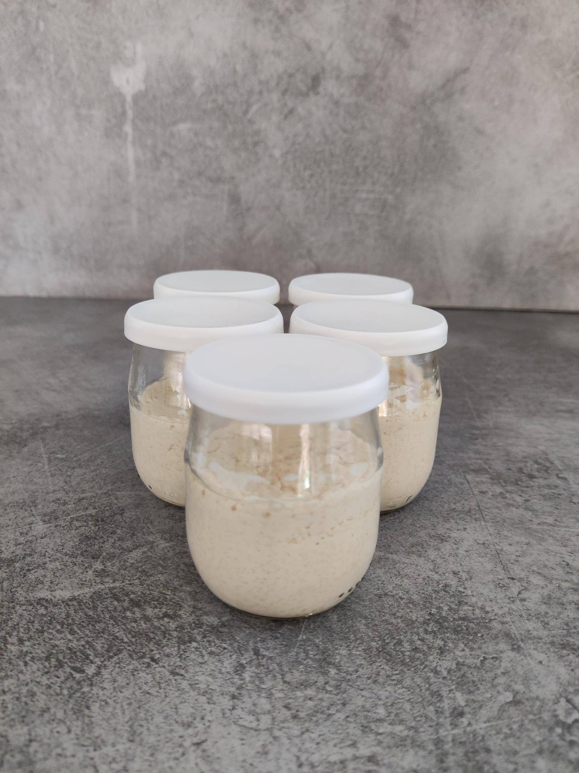 Panna cotta aux blancs d'oeufs - Recette Companion | Moulinex